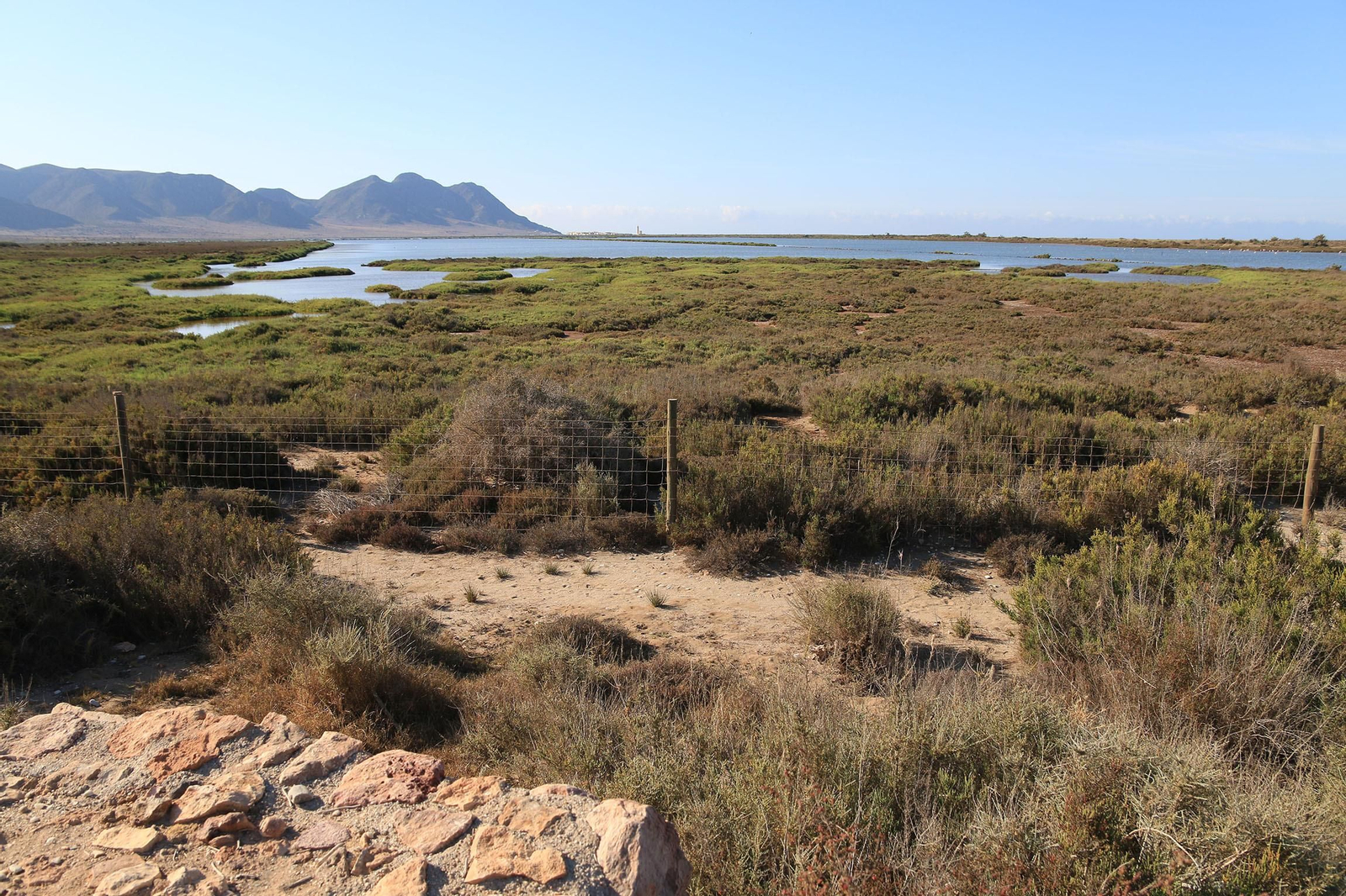 Las imágenes de las Salinas de Cabo de Gata recuperadas y con flamencos