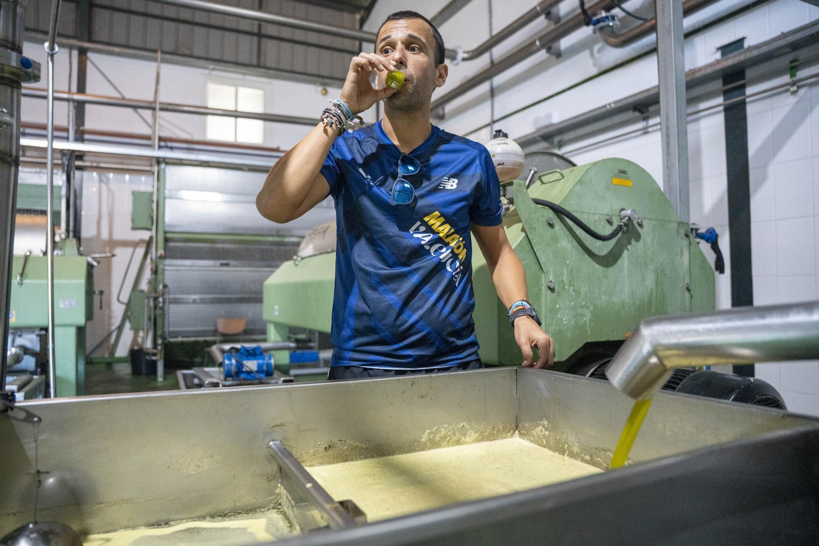 Os enseñamos como se hace el aceite en la almazara de Fiñana, en imágenes