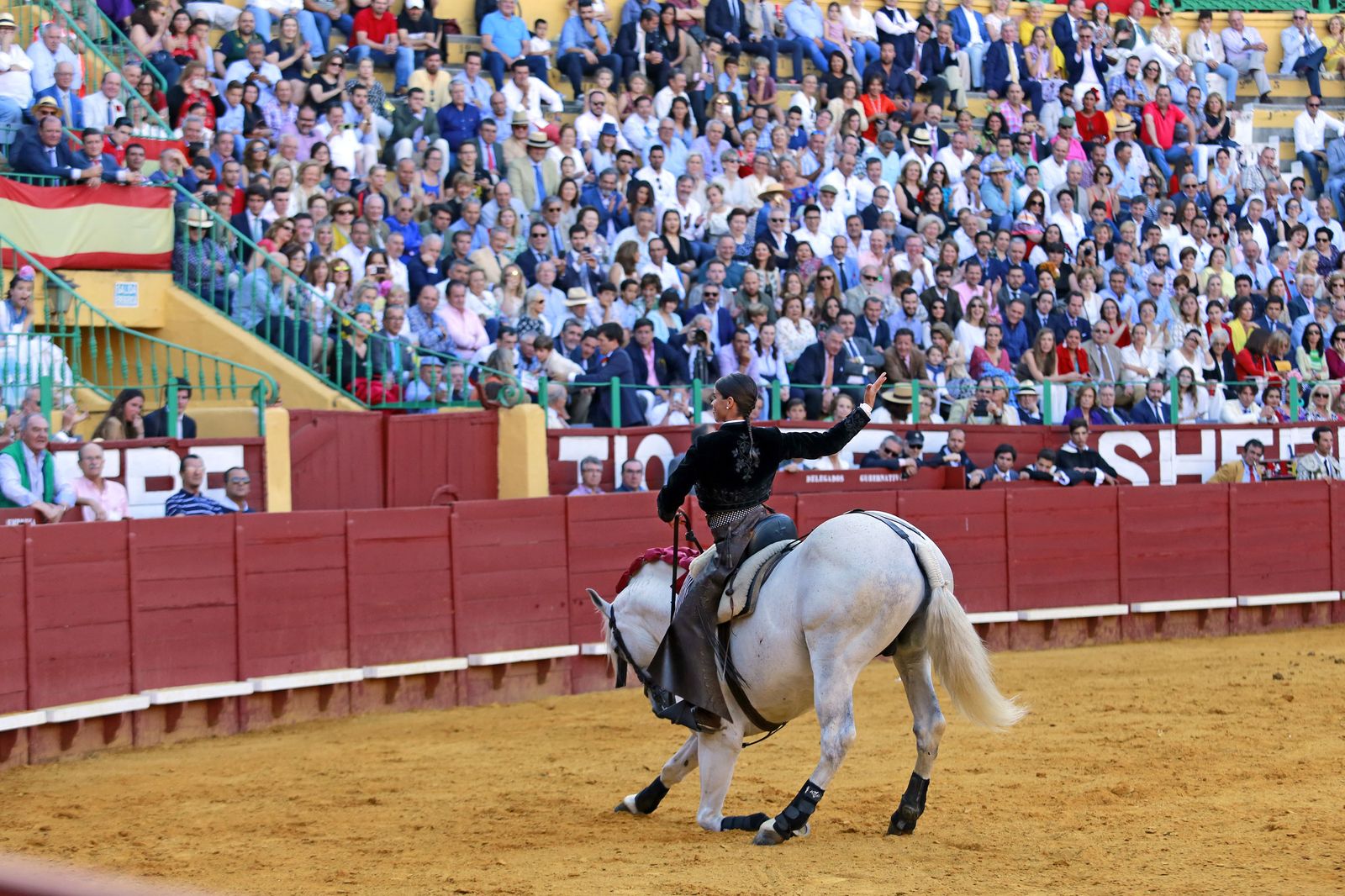 Corrida de Rejones en la plaza de Toros de Jerez