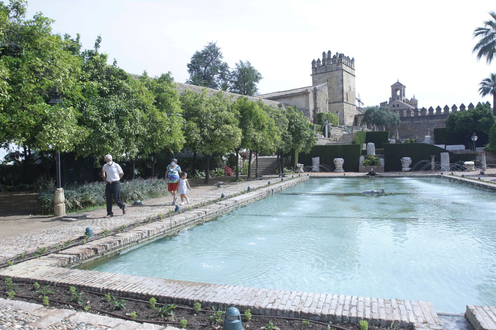 Las fotografías de la reapertura al público del Alcázar