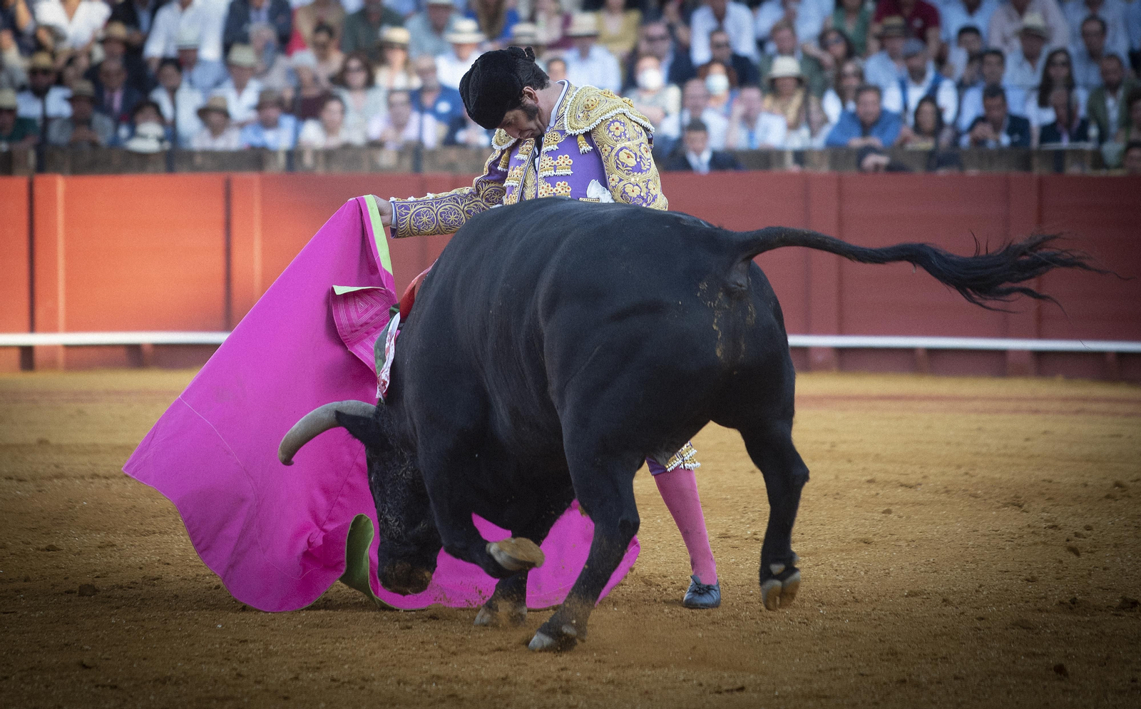 Las mejores imágenes del duodécimo festejo de toros