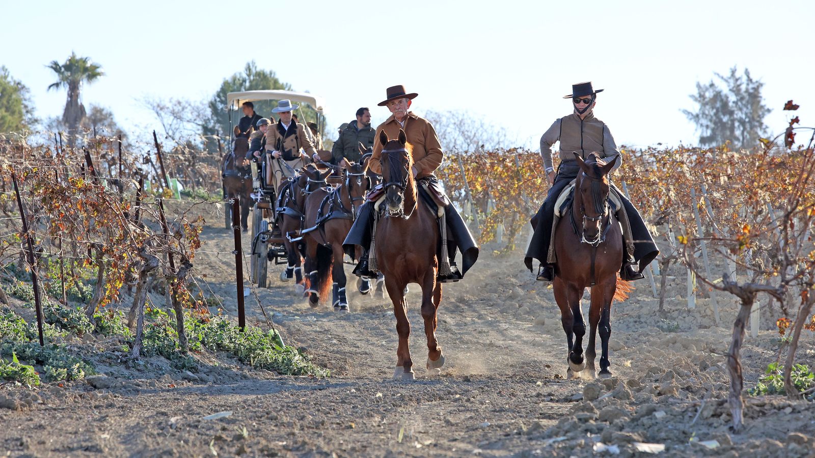 II Ruta Viñas de Jerez
