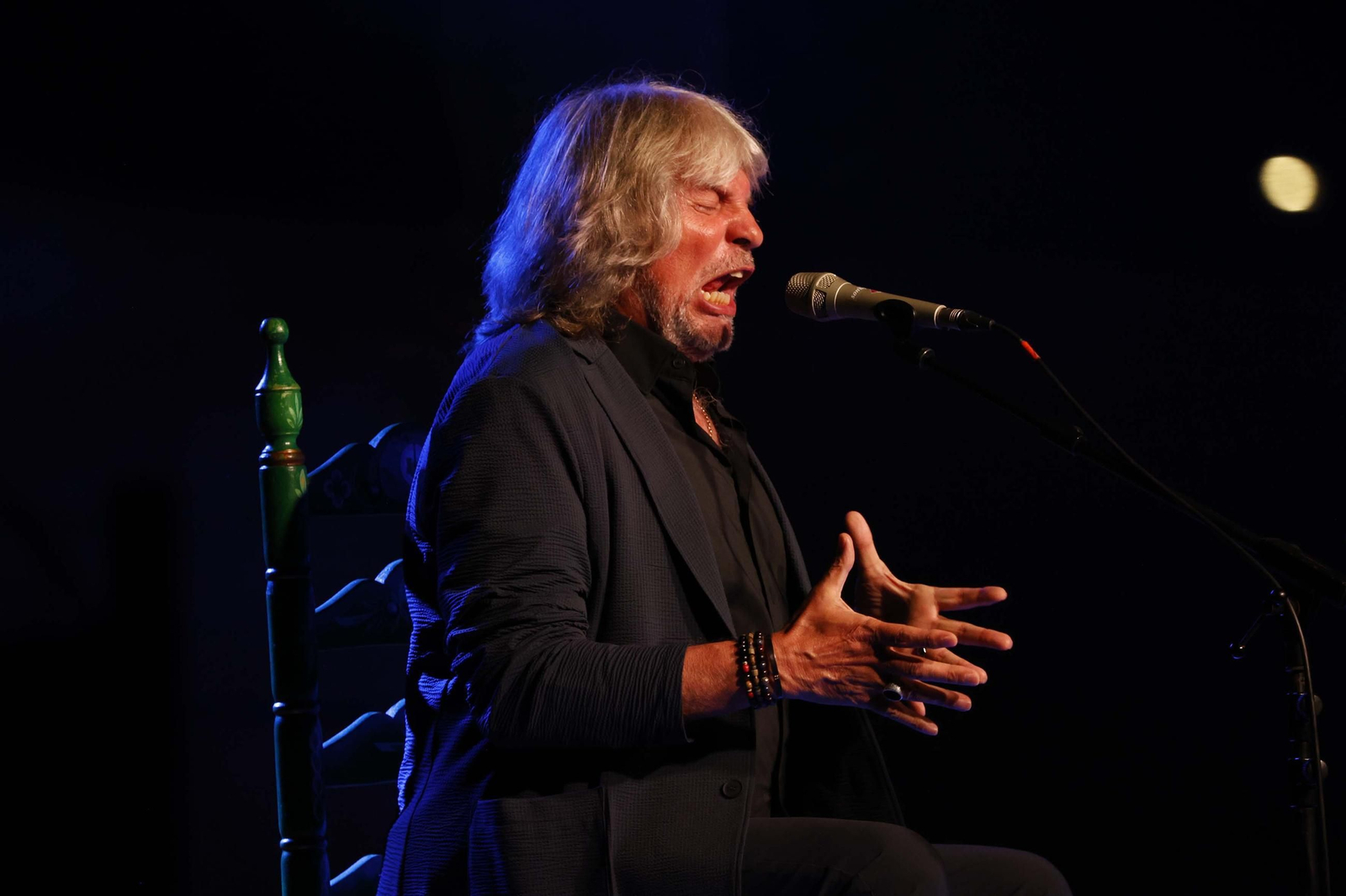 Fotos de la noche flamenca con José Mercé en La Línea