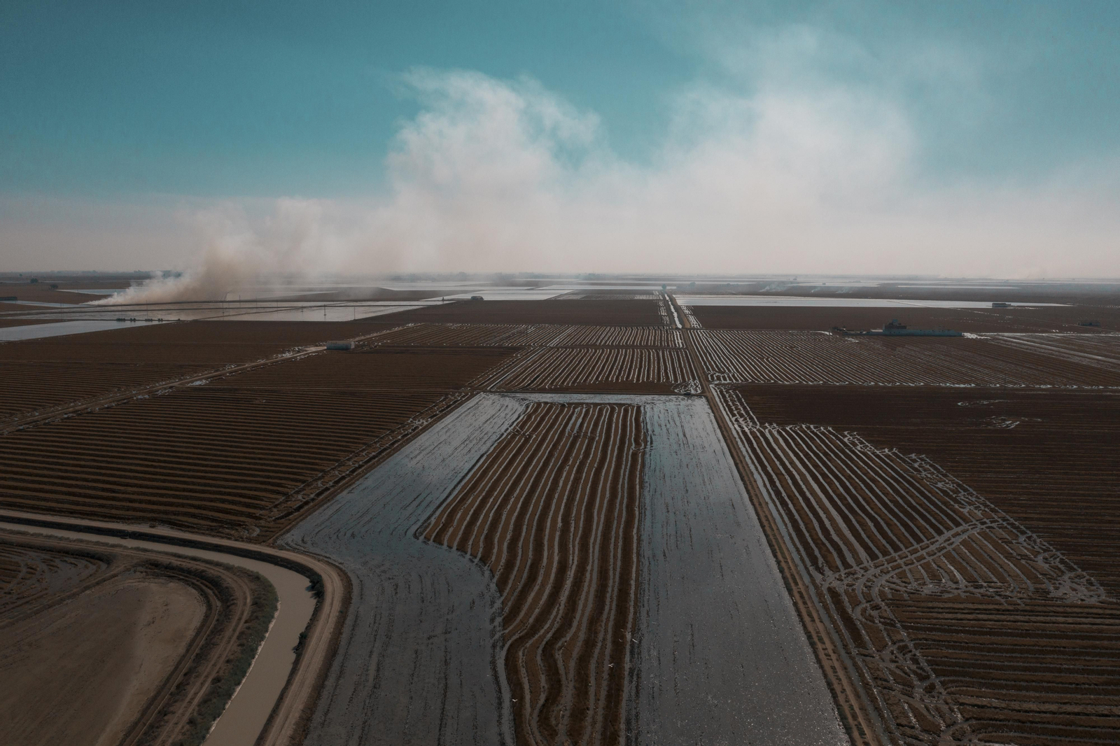Labores después de la cosecha en las tablas de arroz de las Marismas del Guadalquivir