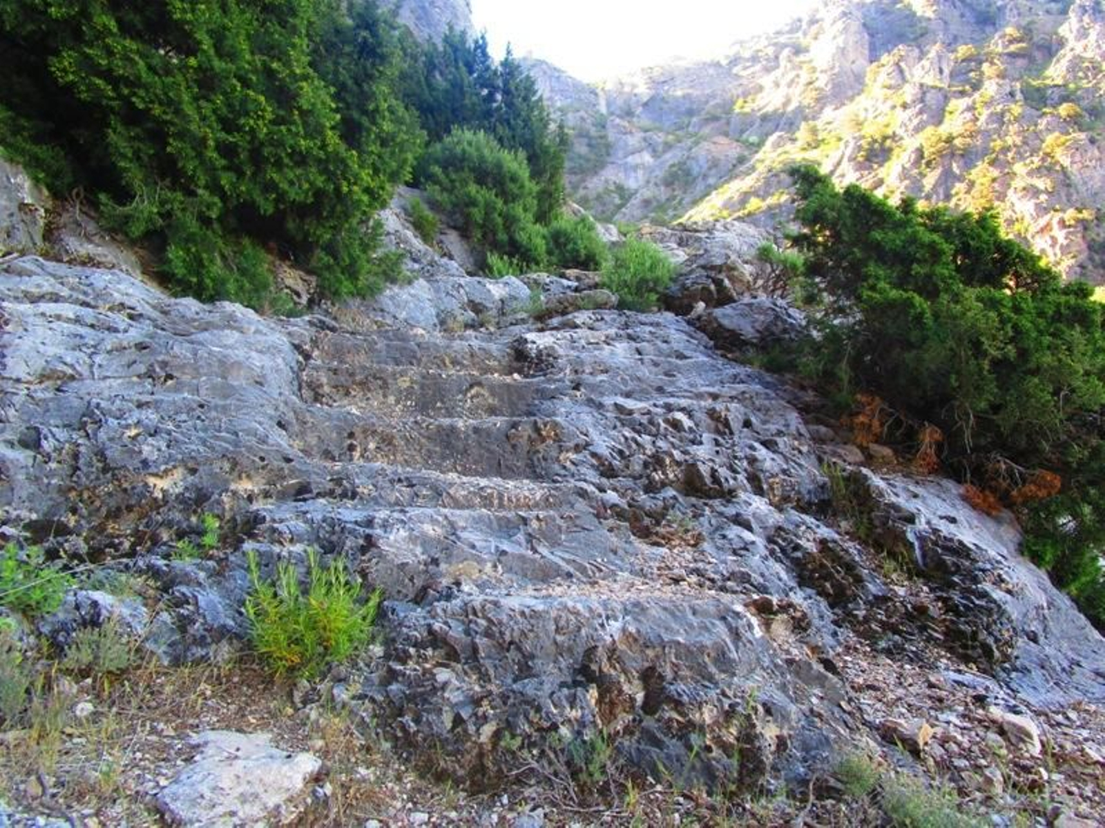 Sendero Escaleruela (Derivación GR 247 enlace)