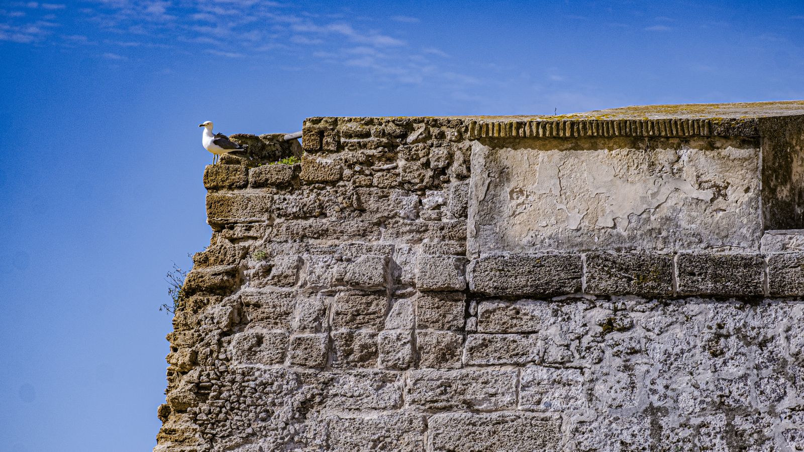 Estado del lienzo de muralla de las Puertas de Tierra de Cádiz.