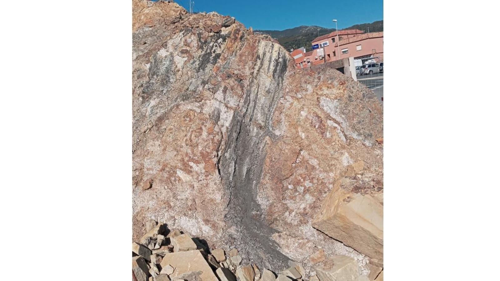 Fragmento de tronco de equisetópsido de un metro de altura.