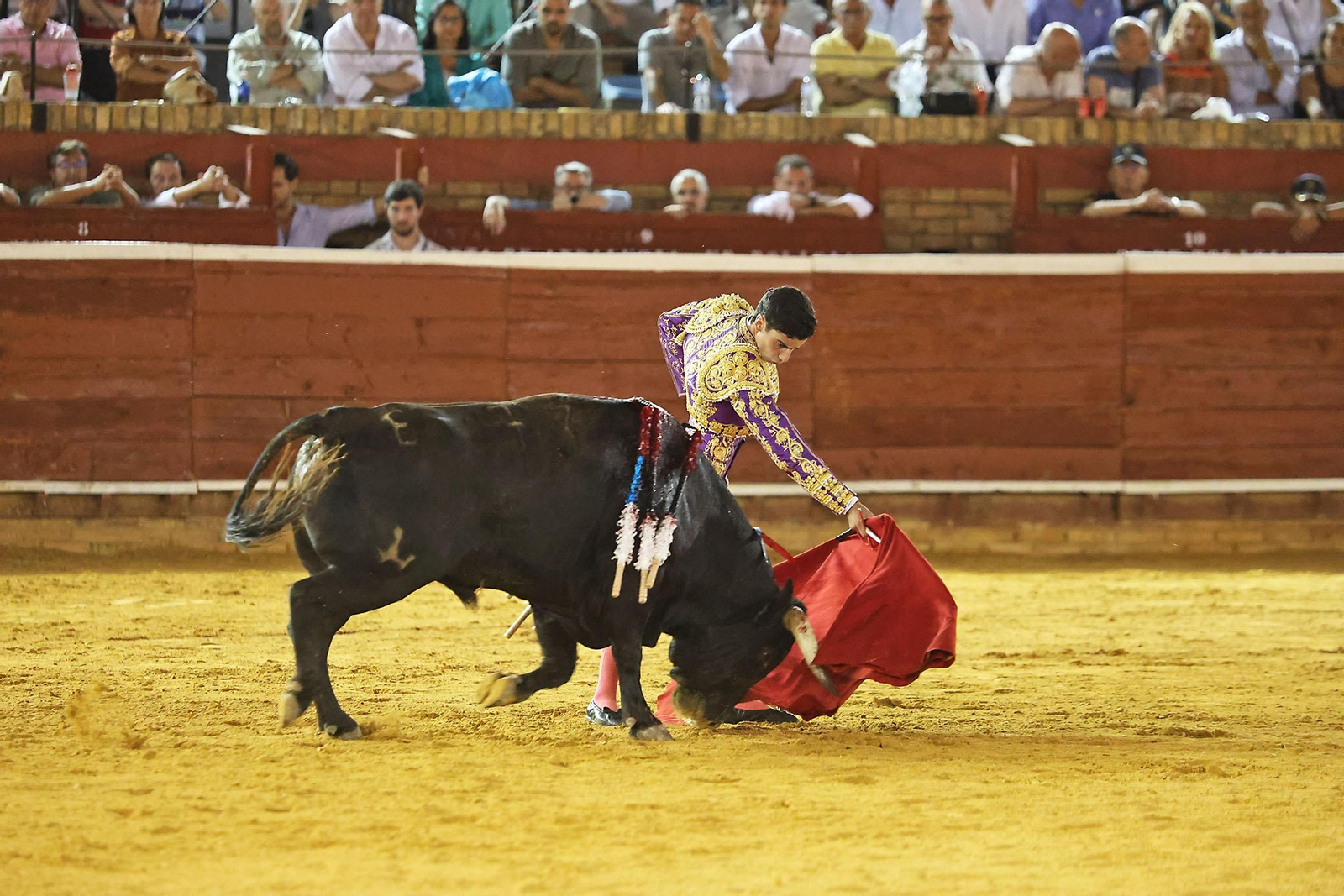 Toros La Merced 2024 Novillada con picadores(