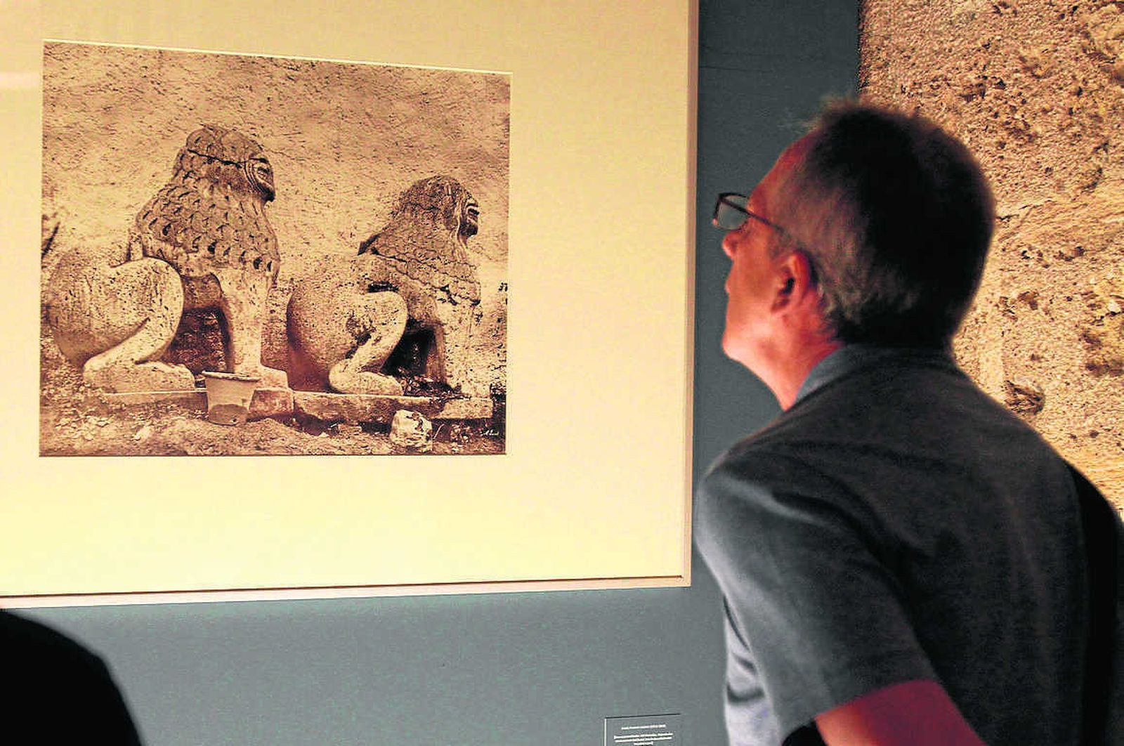 Un visitante contempla un calotipo de los leones del maristán.