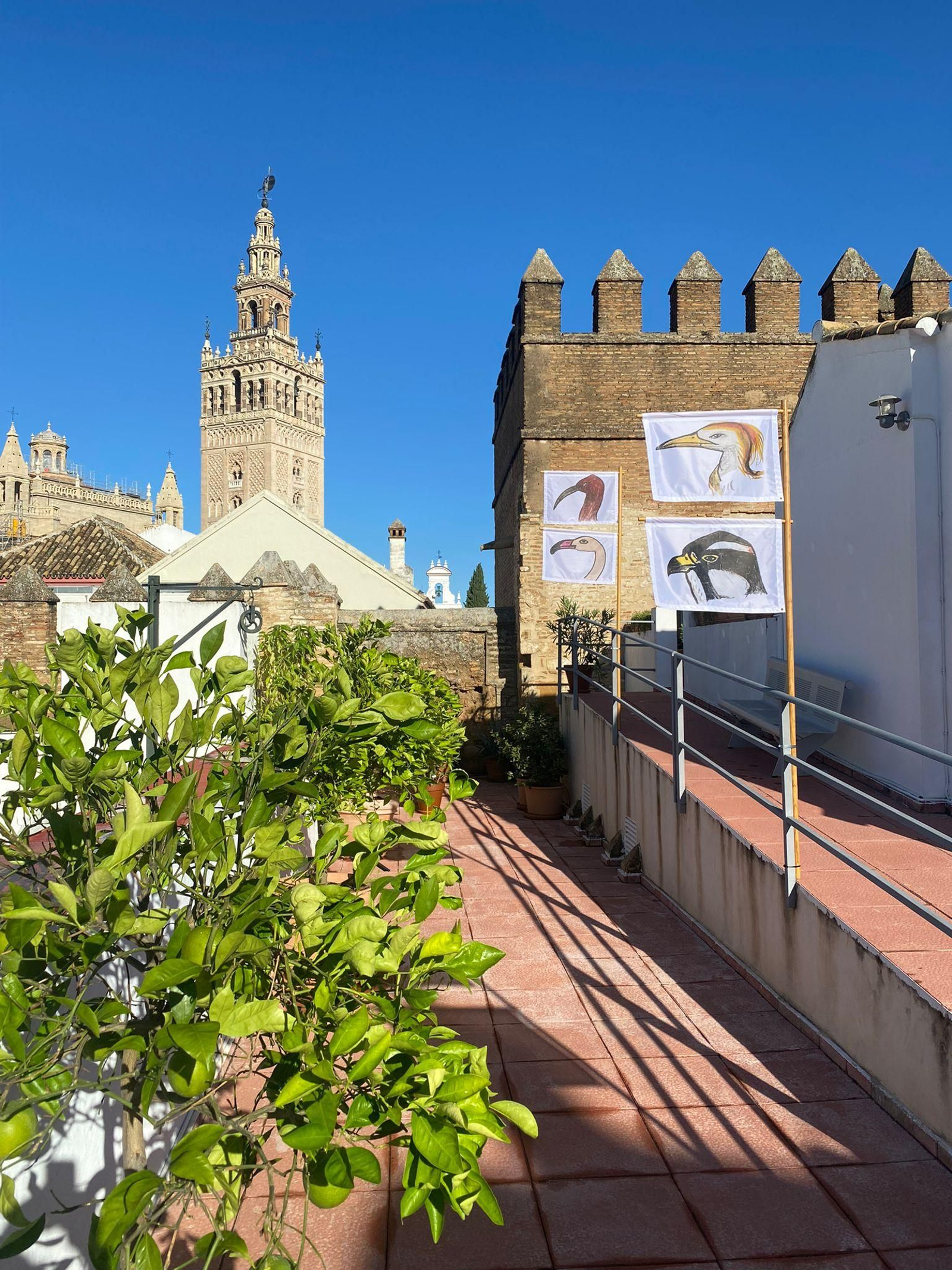 Exposición 'Ave Doñana'.