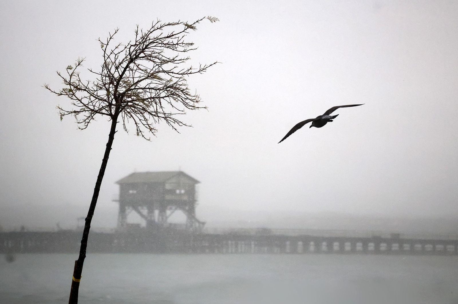 Imágenes del jueves 7 de marzo en Huelva