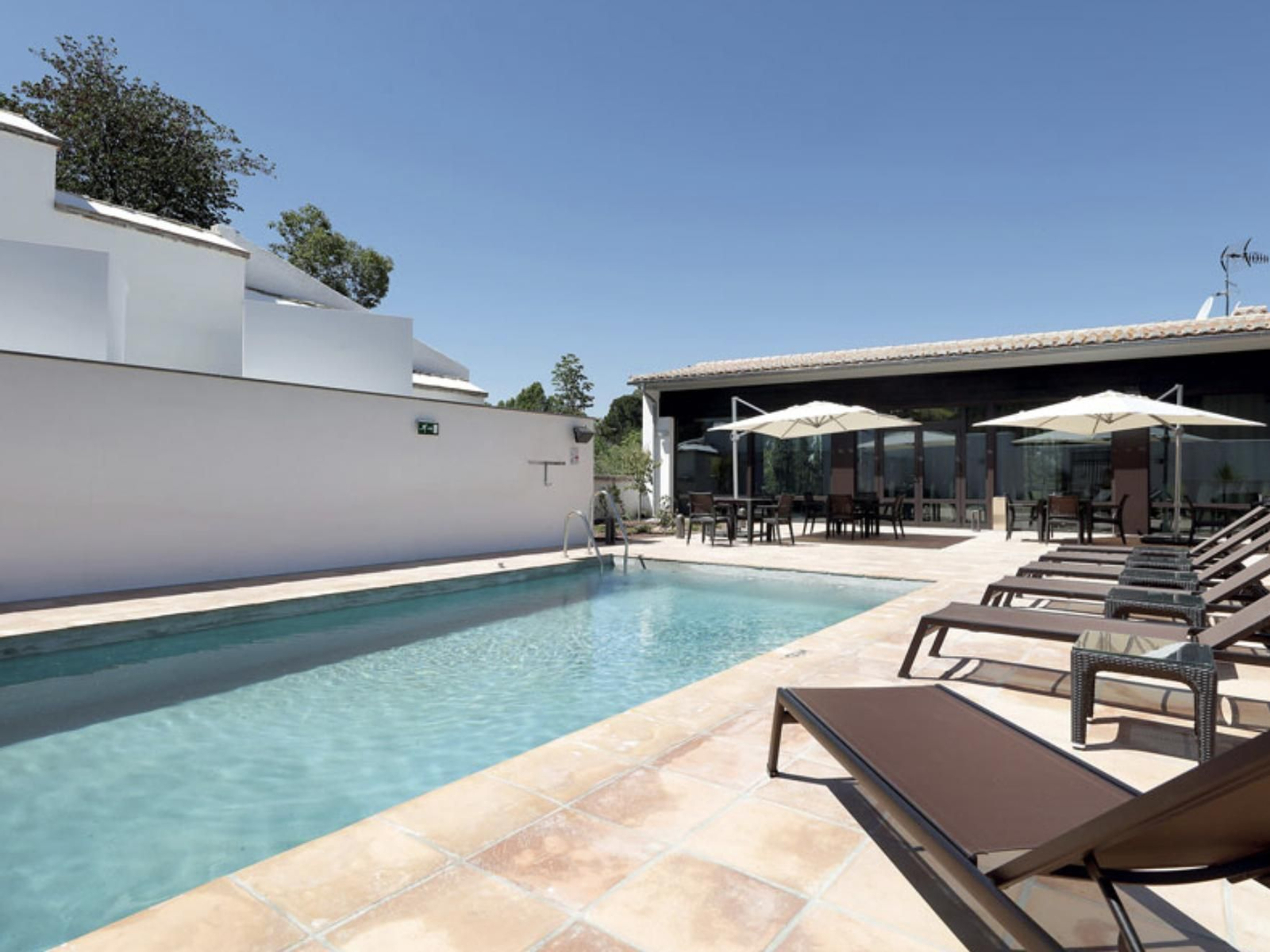 Áurea Washington Irving