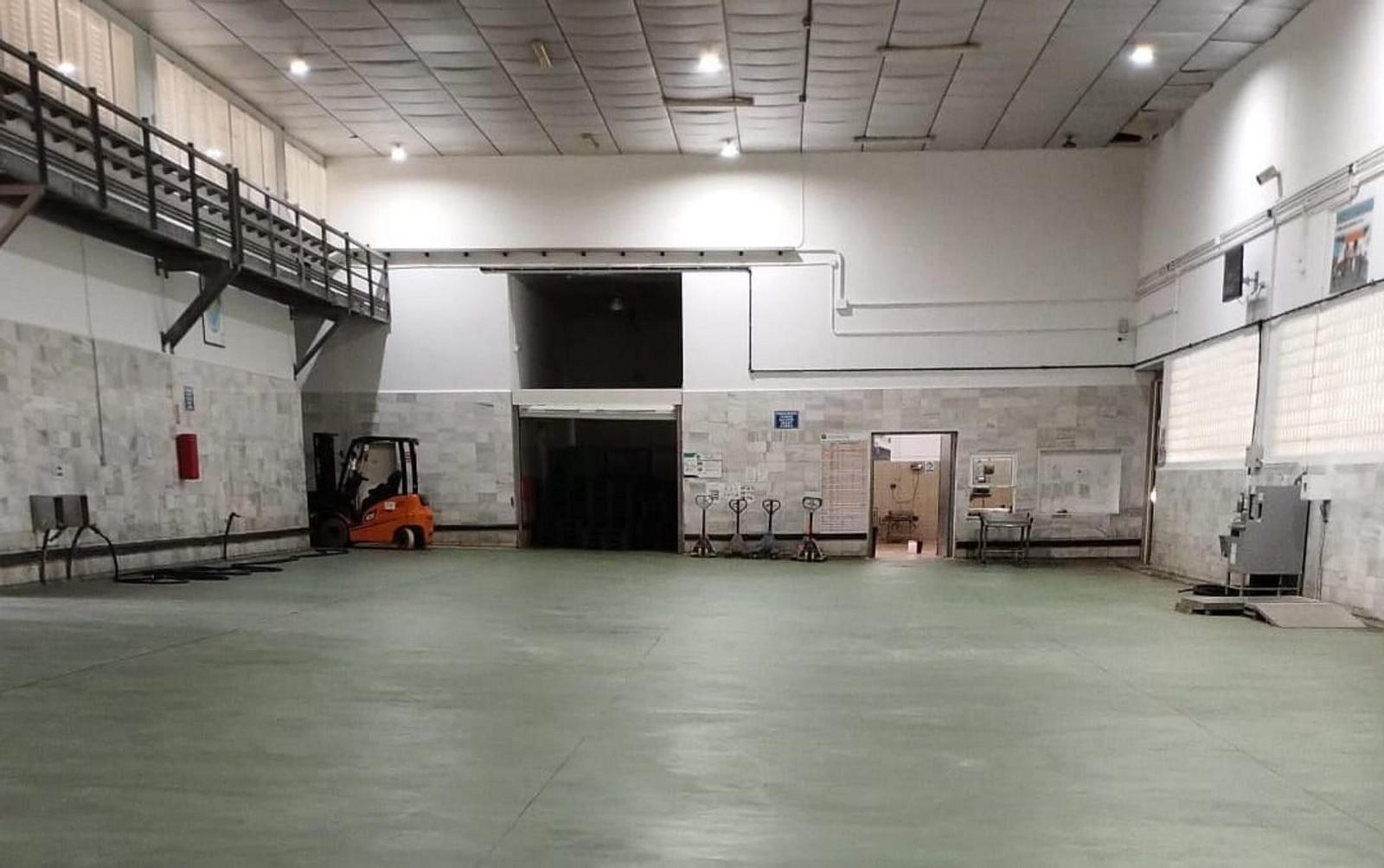 Imagen insólita de la lonja pesquera sin actividad comercial.