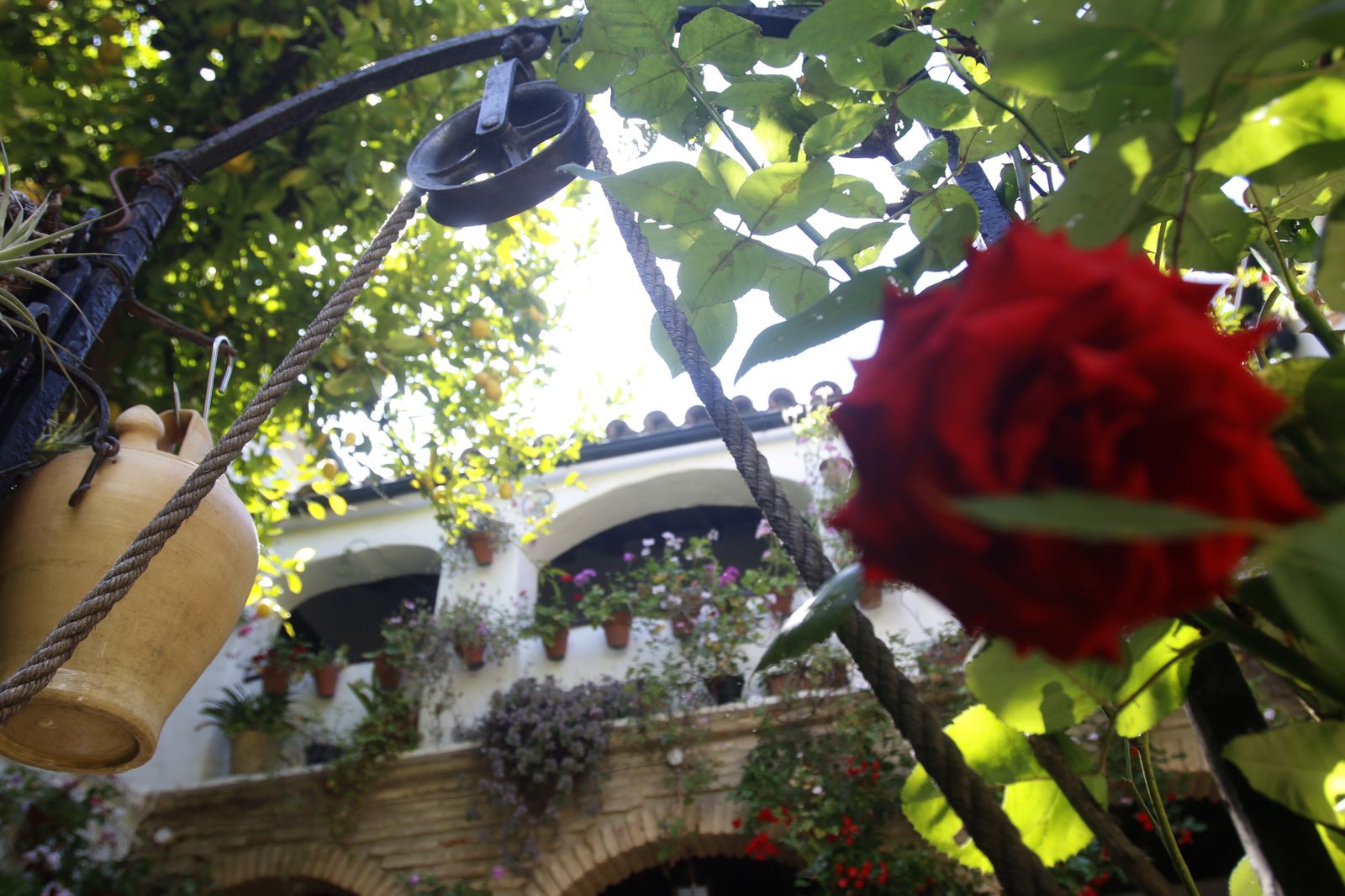 Ruta Santa Marina - San Agustín de los Patios de Córdoba, en imágenes