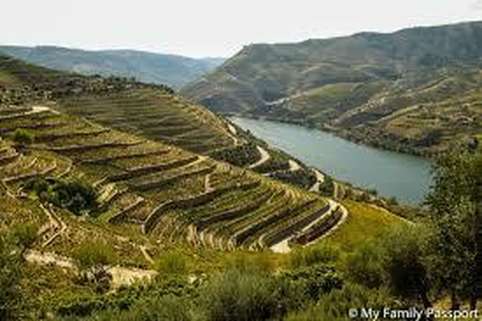 Viñedos del Douro