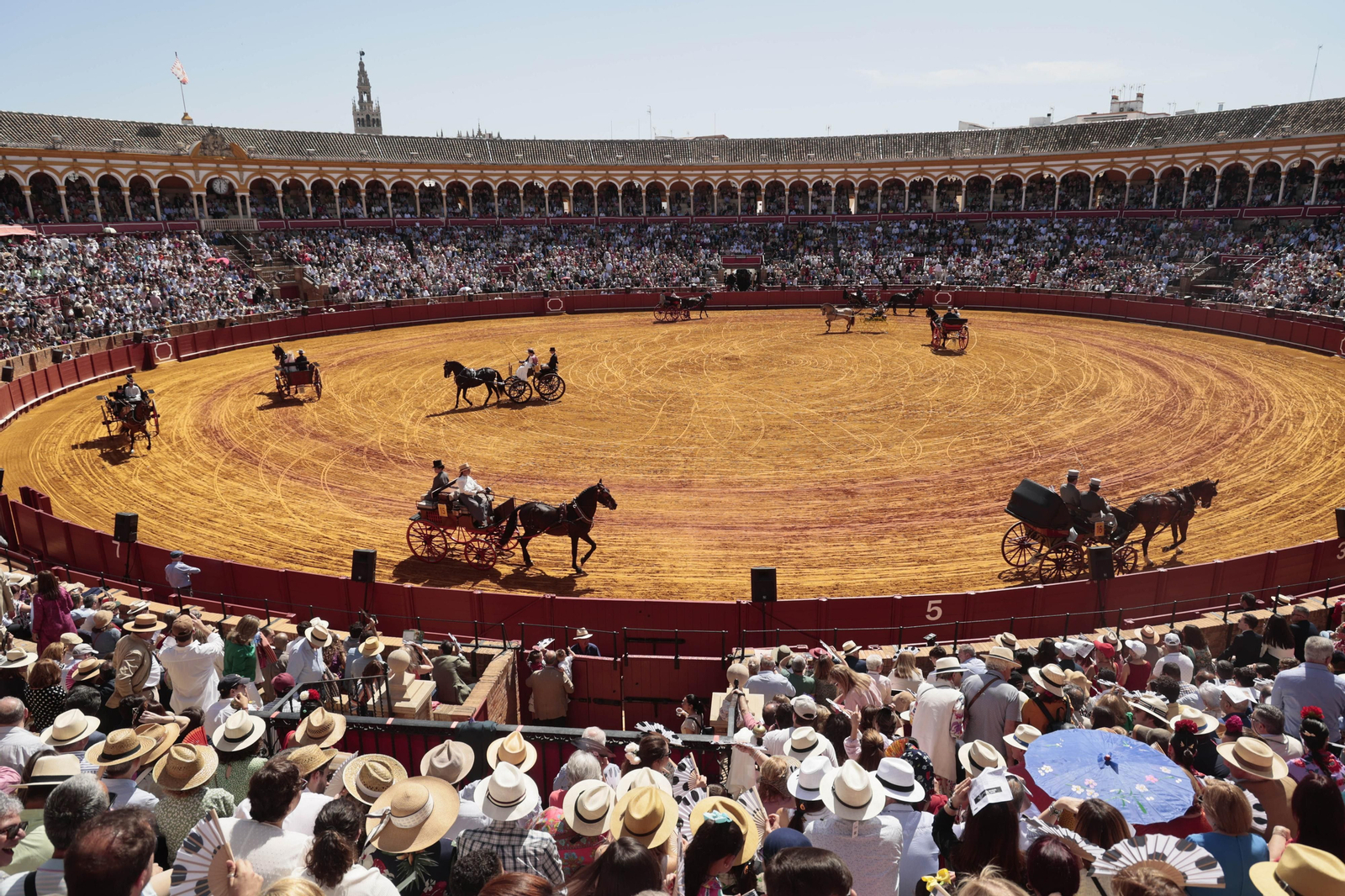 Exhibición de enganches