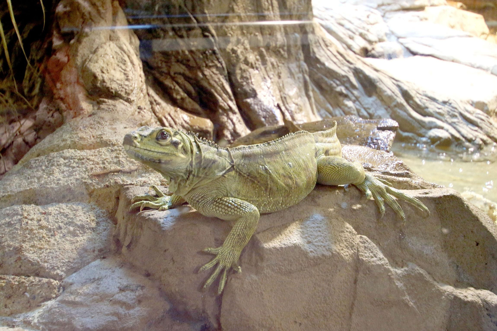 Fotogalería del Oasys Mini Hollywood sin actividad durante el coronavirus