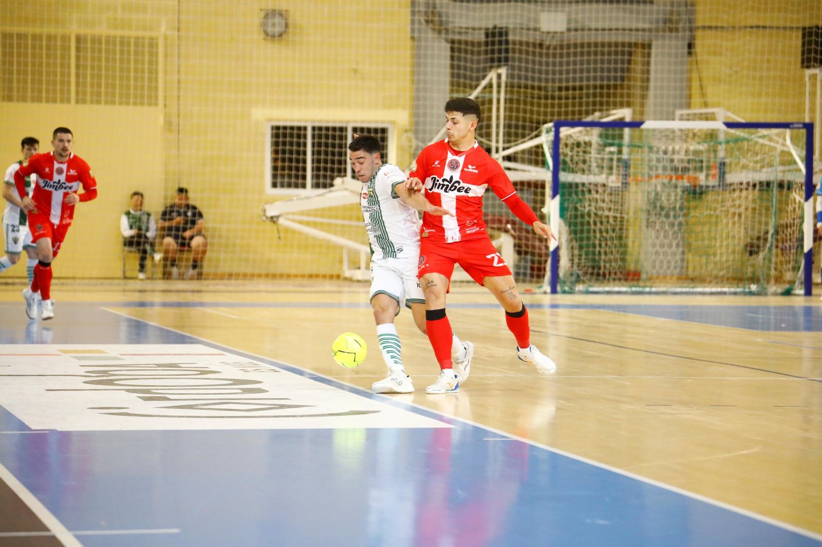 Las mejores fotos del ambiente en Vista Alegre para el Córdoba Futsal - Jimbee Cartagena