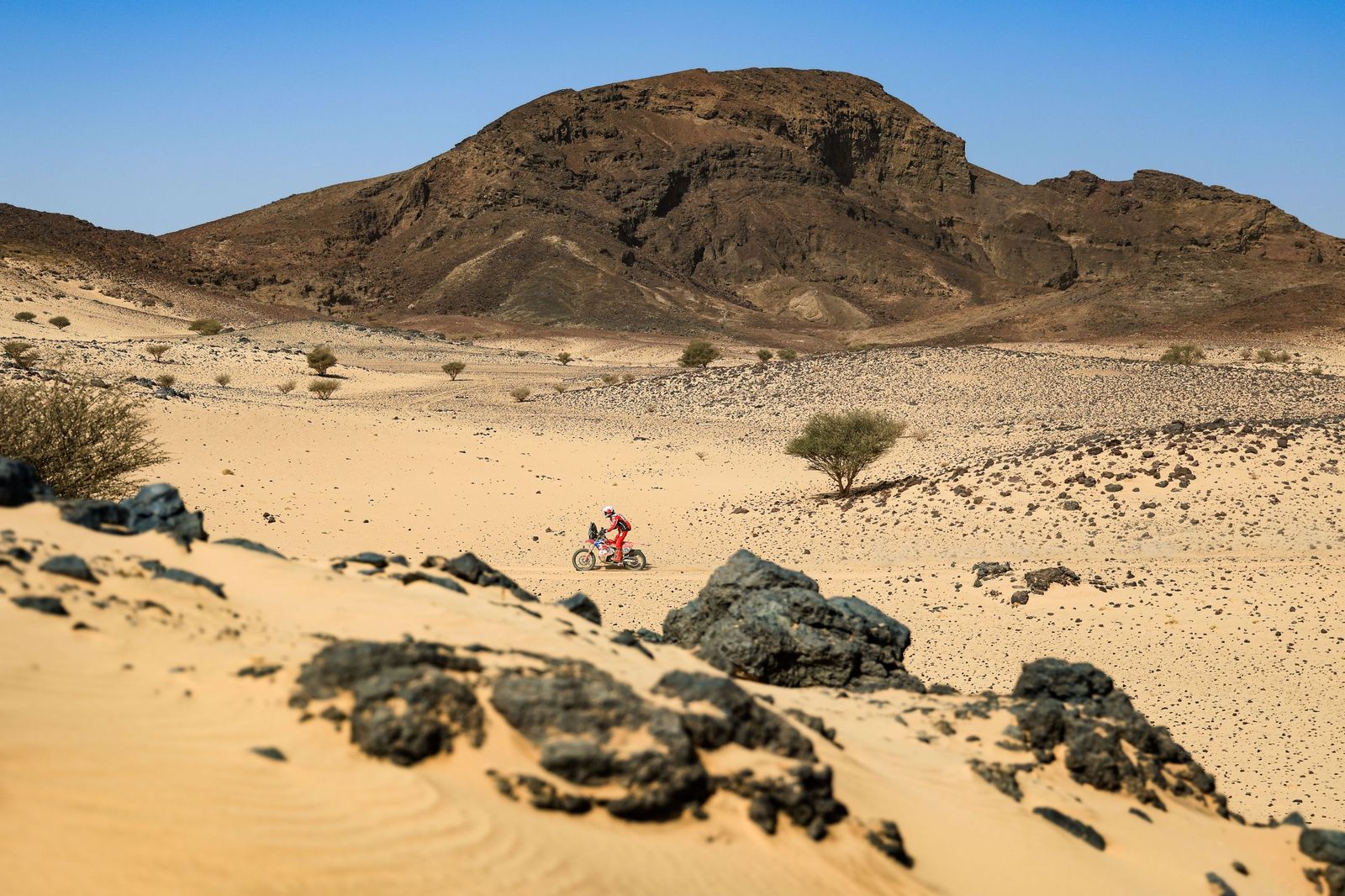 Las mejores fotos del Rally Dakar | undécima etapa