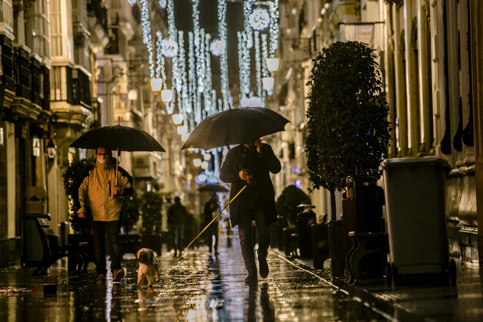 Fotos del alumbrado extraordinario de Navidad.