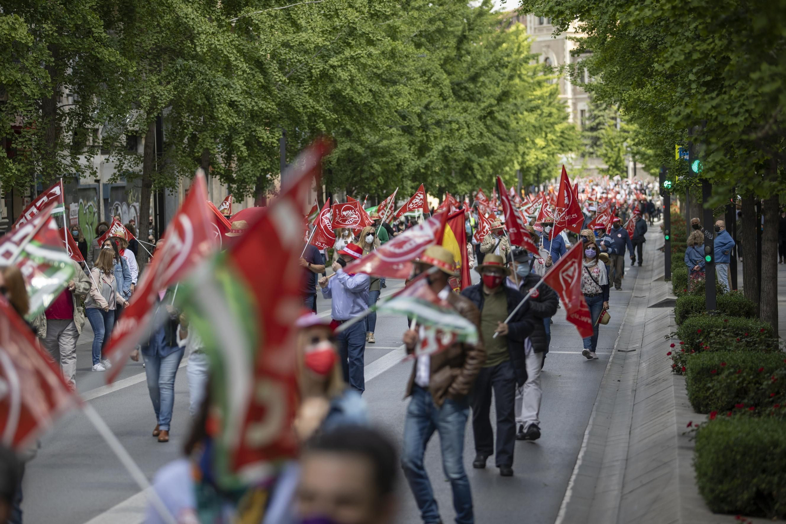 Fotos: Manifestación del 1º de Mayo en Granada