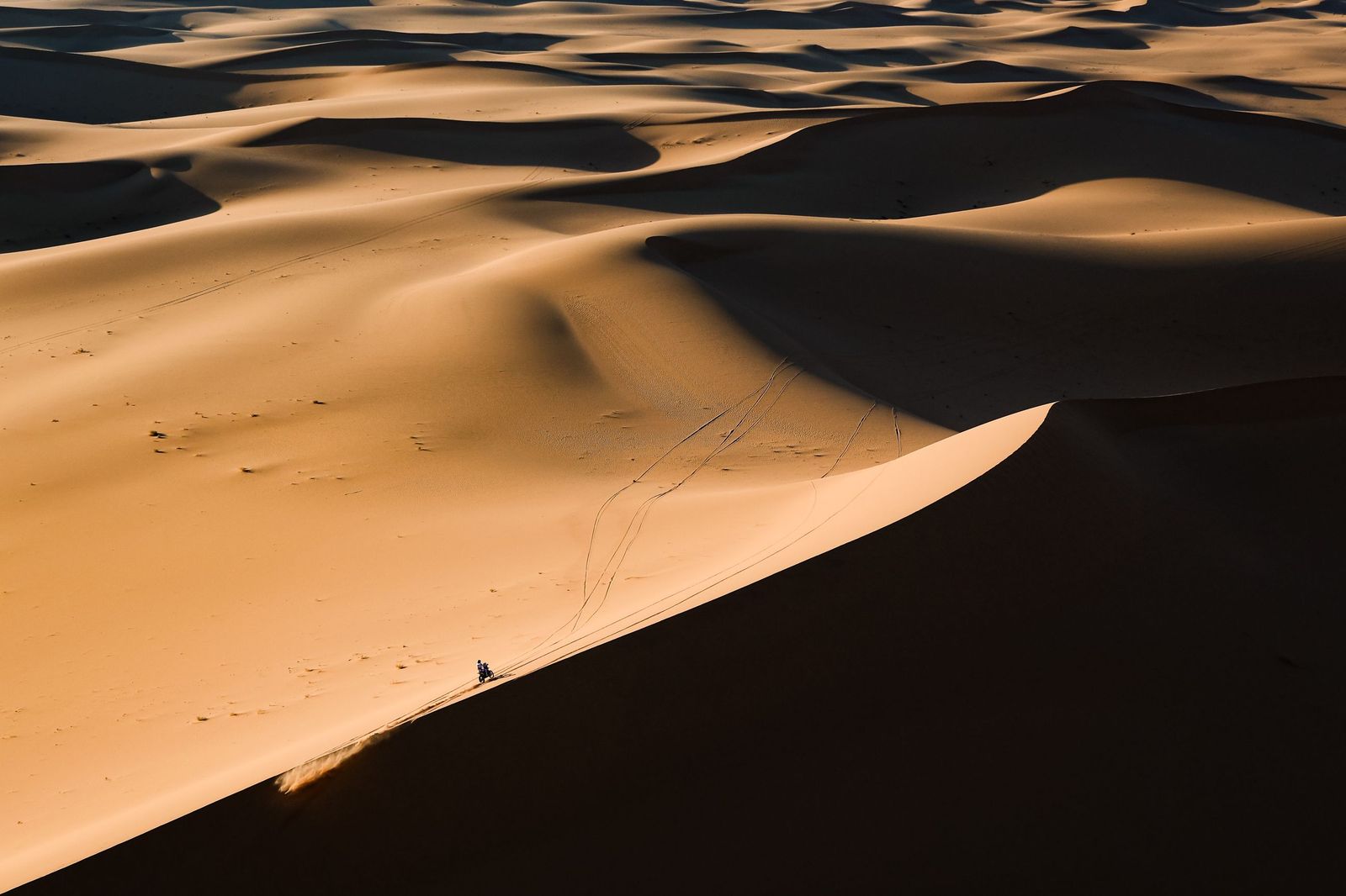 Las mejores fotos del Rally Dakar | Octava etapa