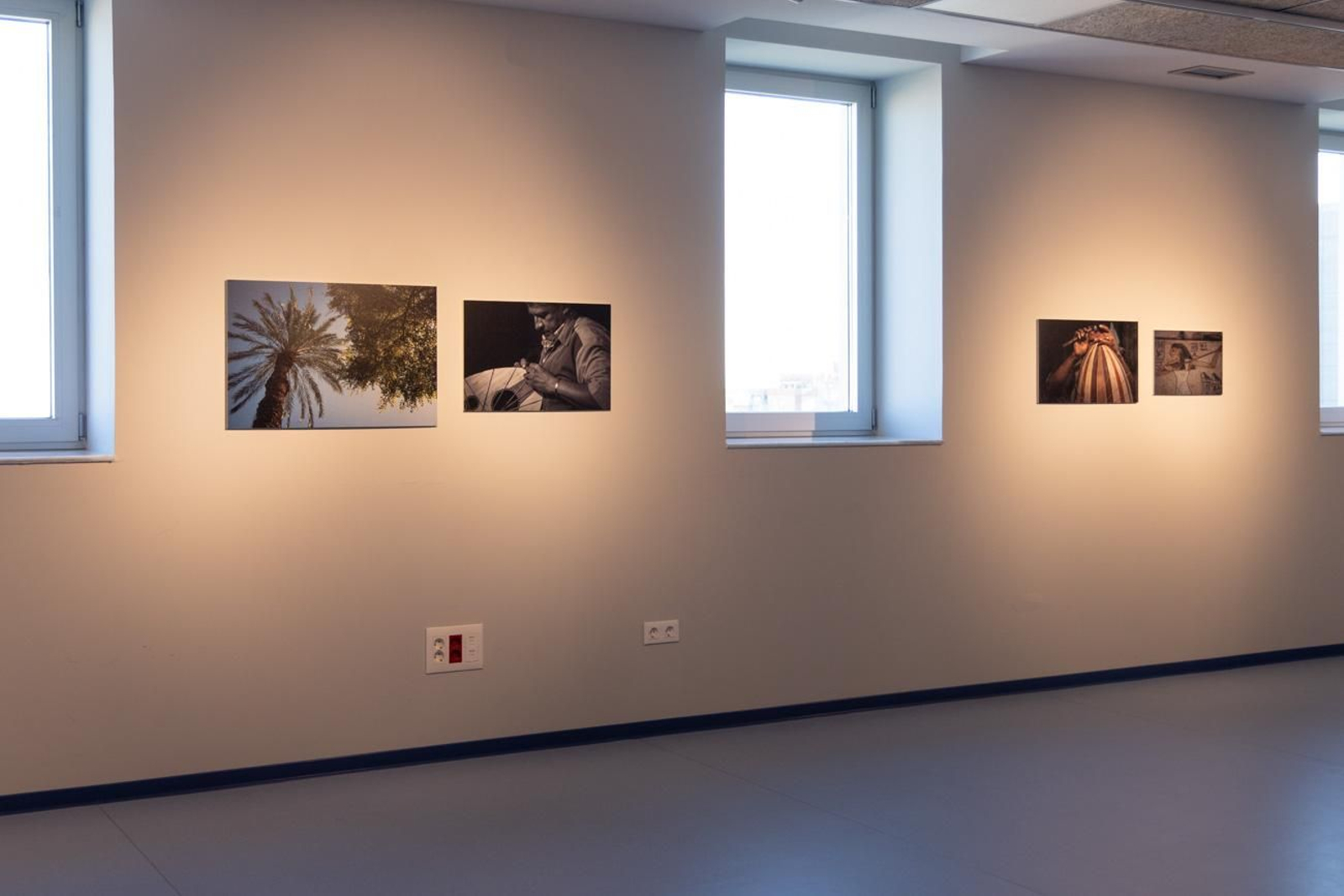 Egipto en Jaén: los bosques sagrados del país del Nilo cobran vida en imágenes