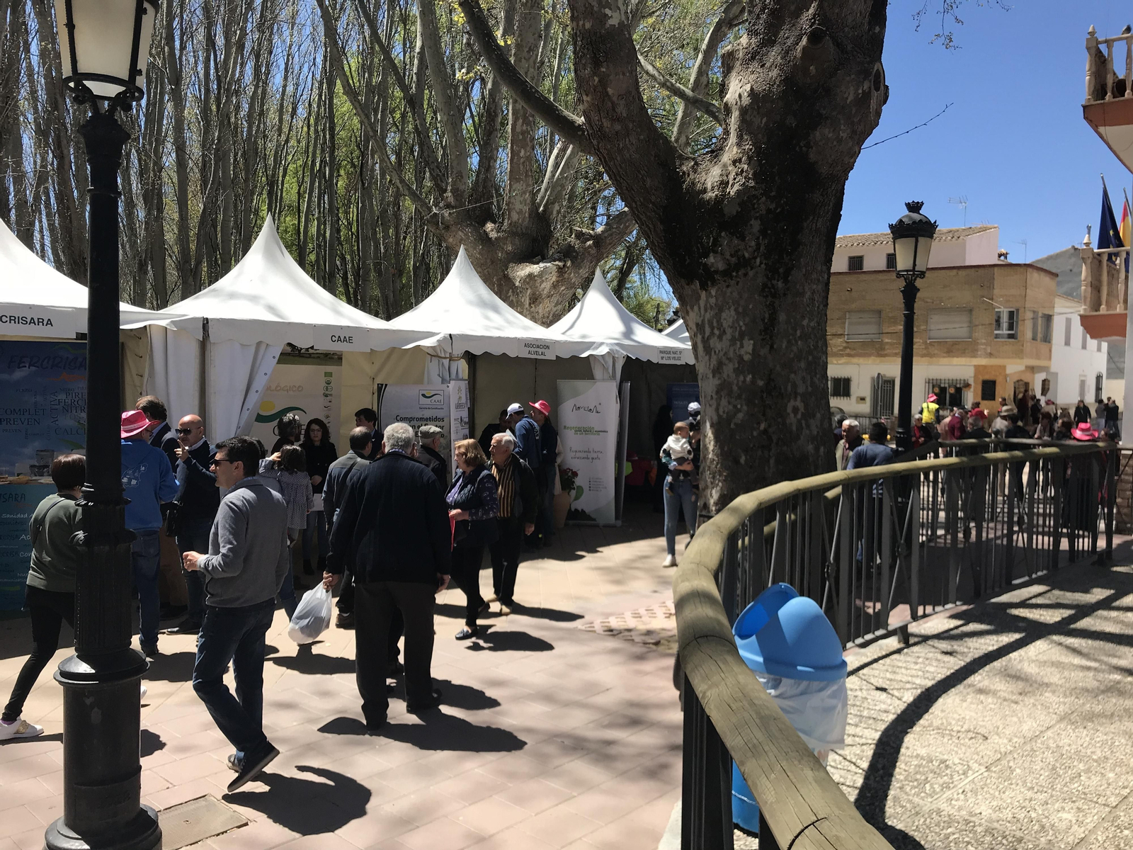 Imágenes de Terracultura 2019, en Chirivel