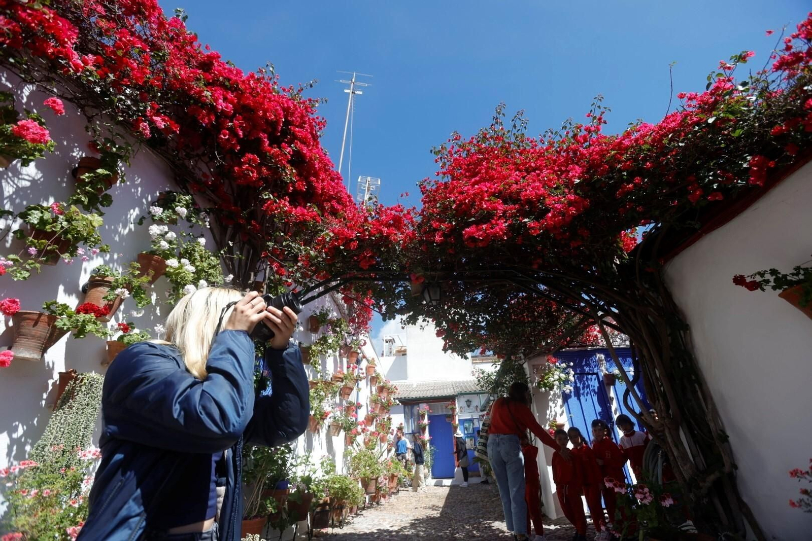 Las mejores imágenes del primer día de Patios en Córdoba