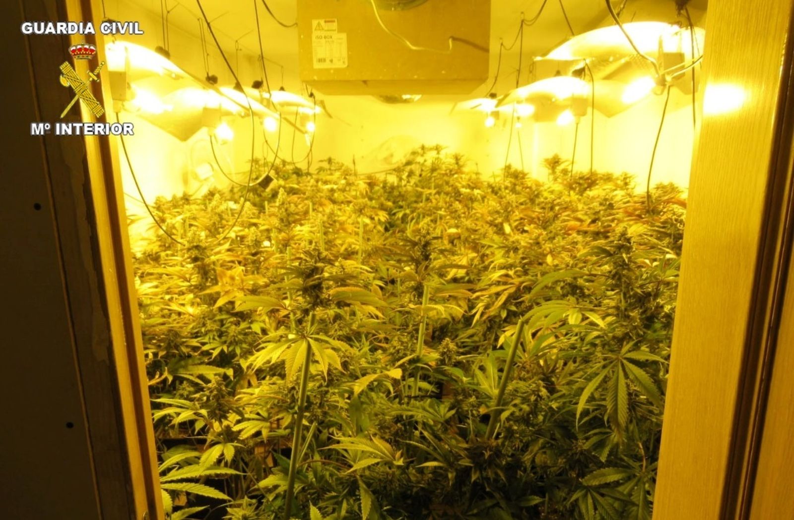 Imagen facilitada por la Guardia Civil.