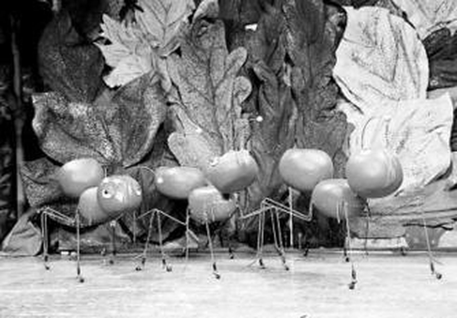 Imagen de la obra 'Cor de mel' de Jácara Teatro.