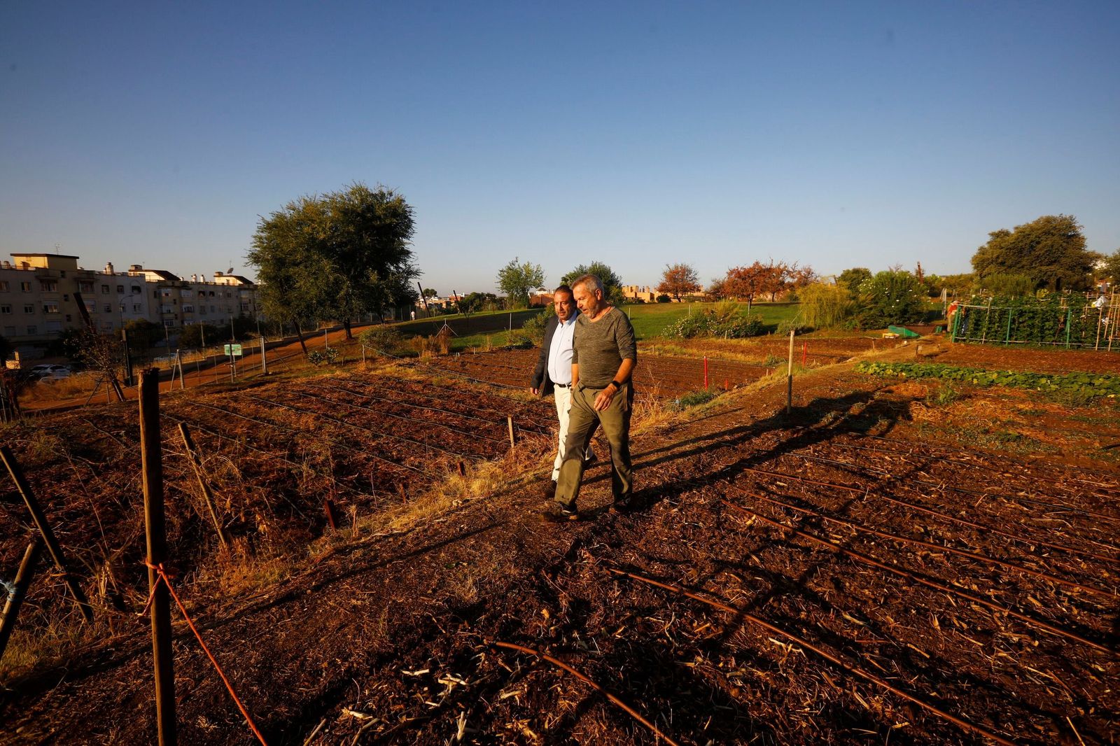 Varias personas en uno de los huertos urbanos de Córdoba.