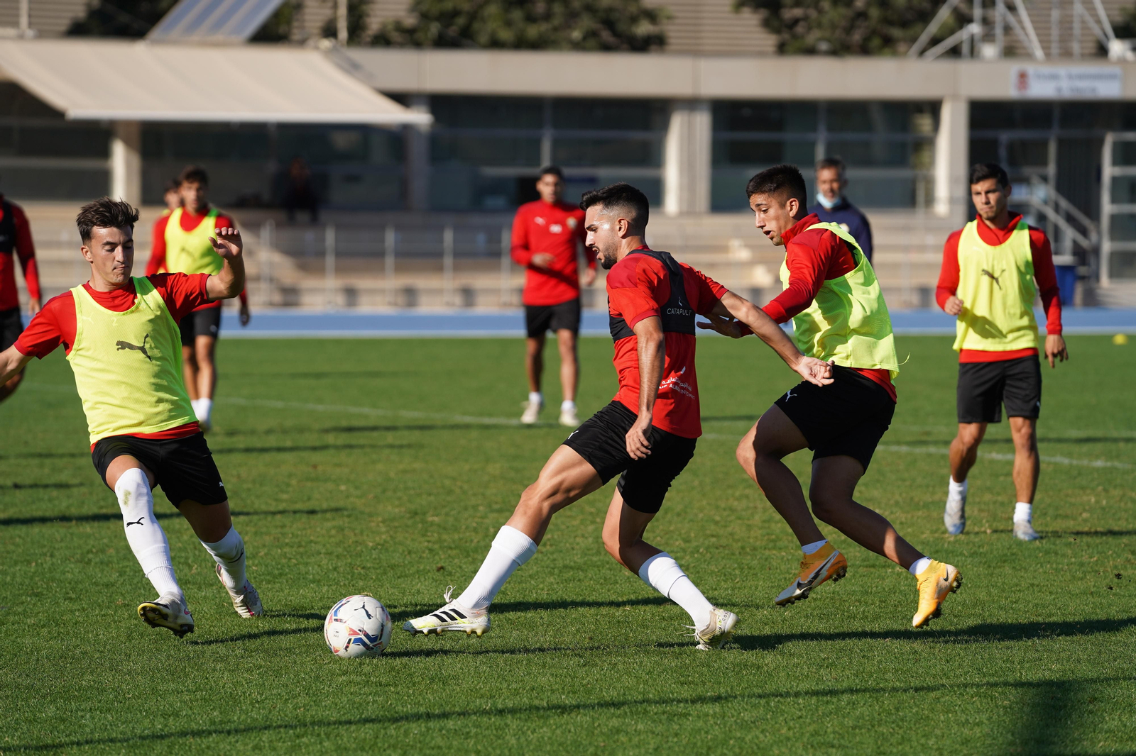 Fotogalería del entrenamiento del Almería, miércoles 11