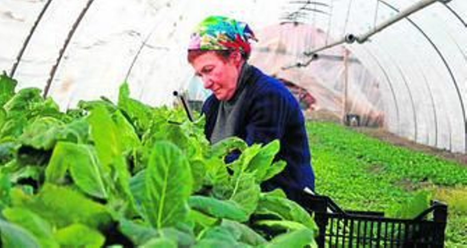 Doble cita en la Sección Oficial de Alcances