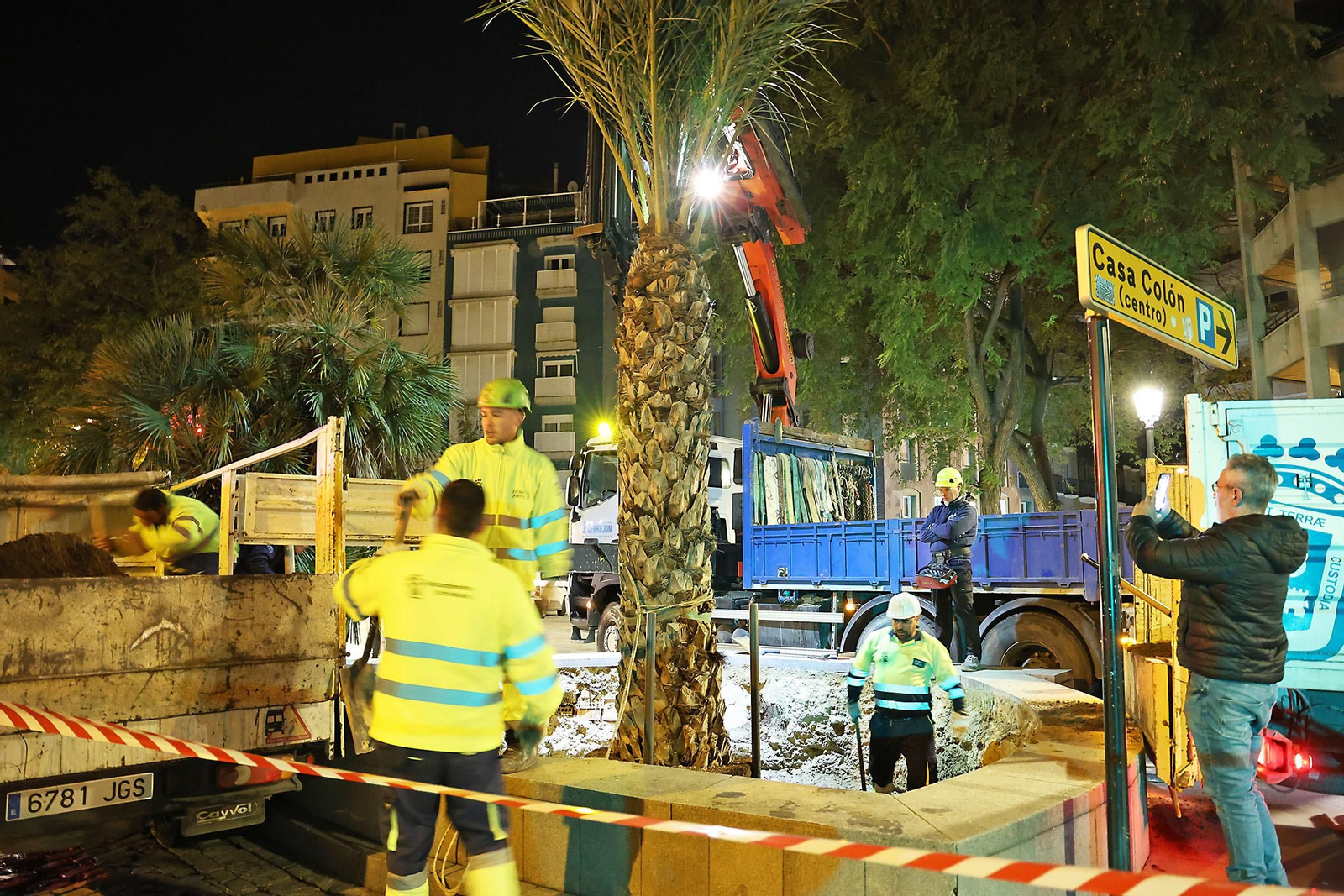 Las mejores imágenes de la plantación de la nueva palmera de Huelvaga