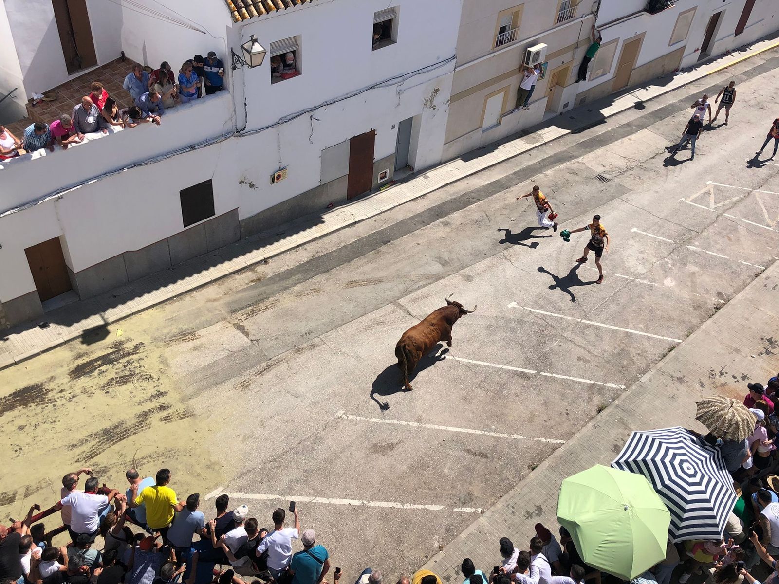 Varios corredores en la suelta del Toro de Arcos, este domingo.