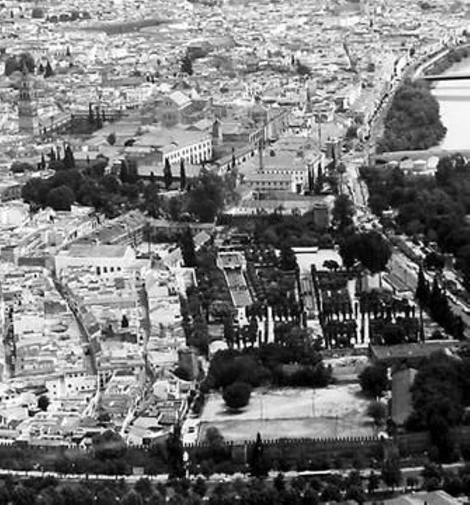 Imagen aérea de las Caballerizas, la Huerta, el Alcázar y San Basilio.