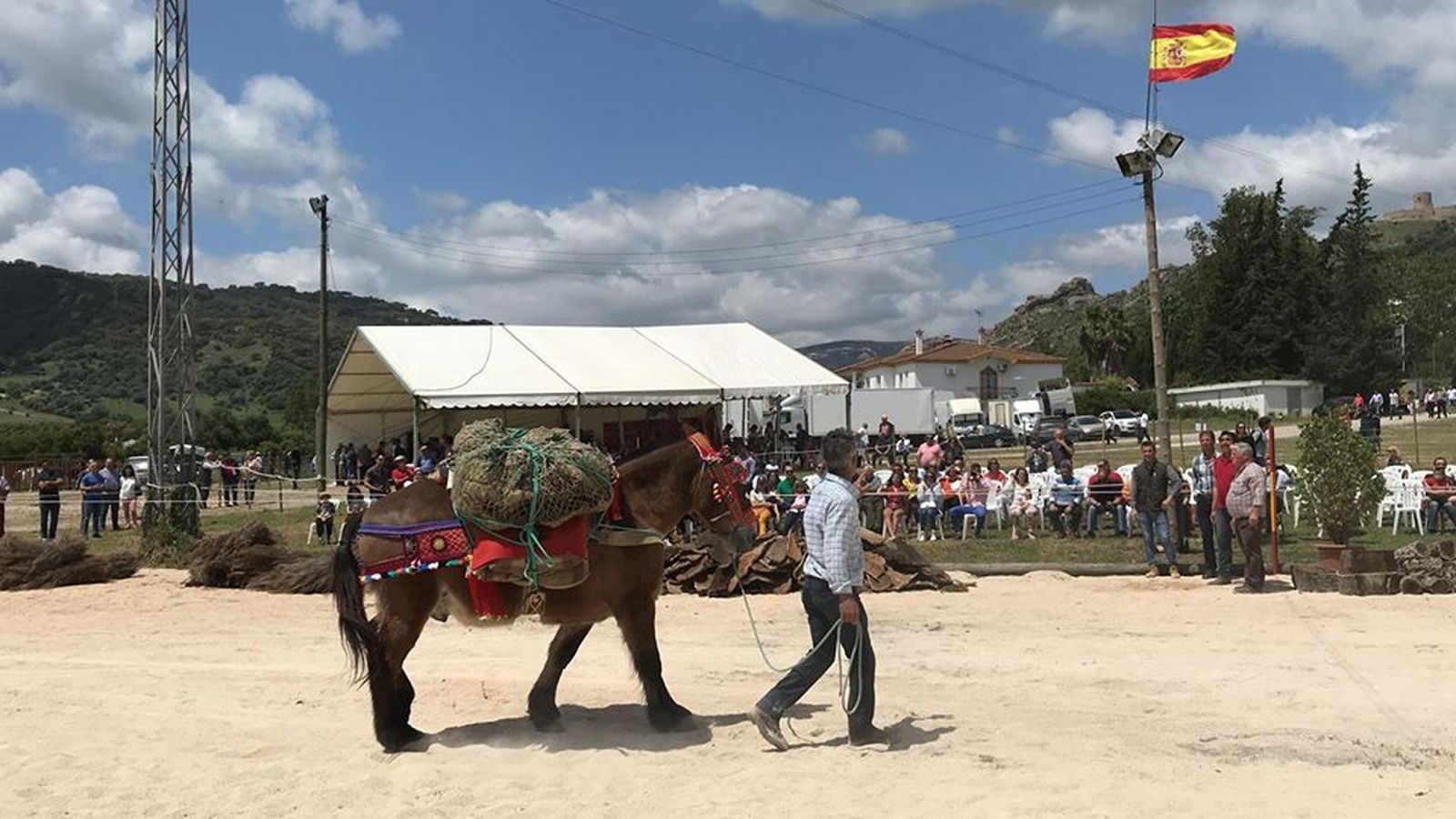 La exhibición de arrieros en la Feria de mayo del año pasado