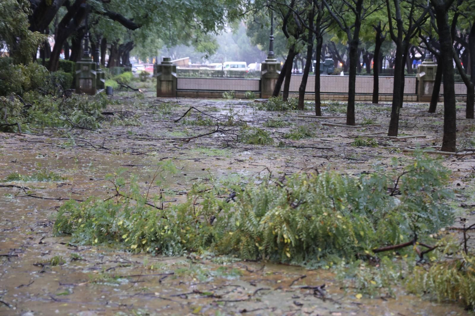Fotografías de los destrozos de la borrasca Kristin en Huelva este miércoles