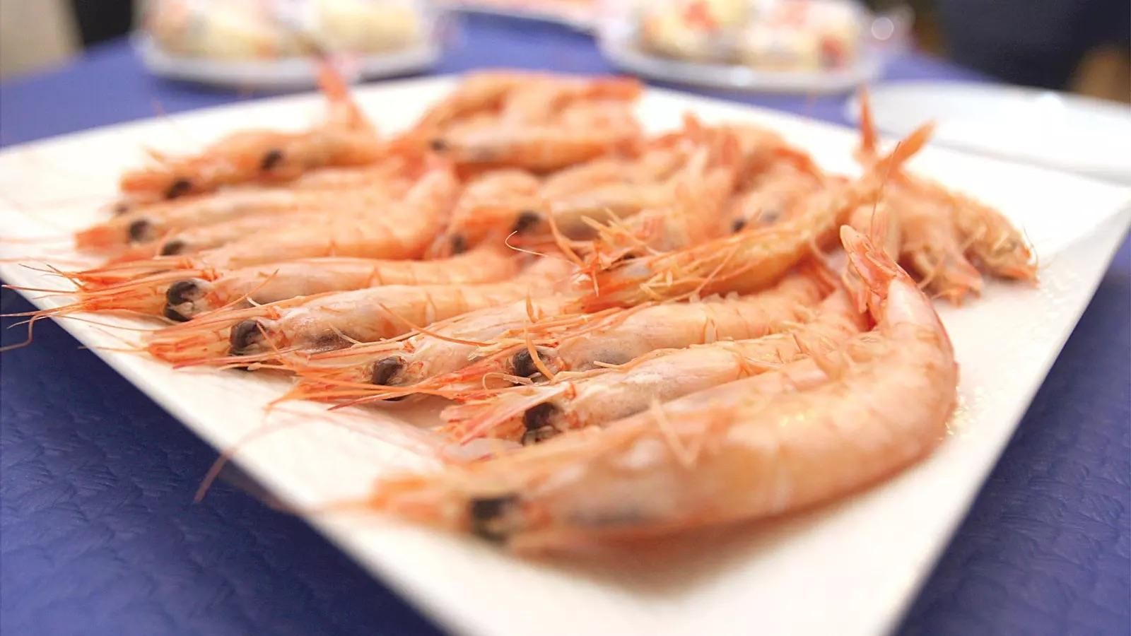 La gamba blanca, el marisco más insigne de Huelva