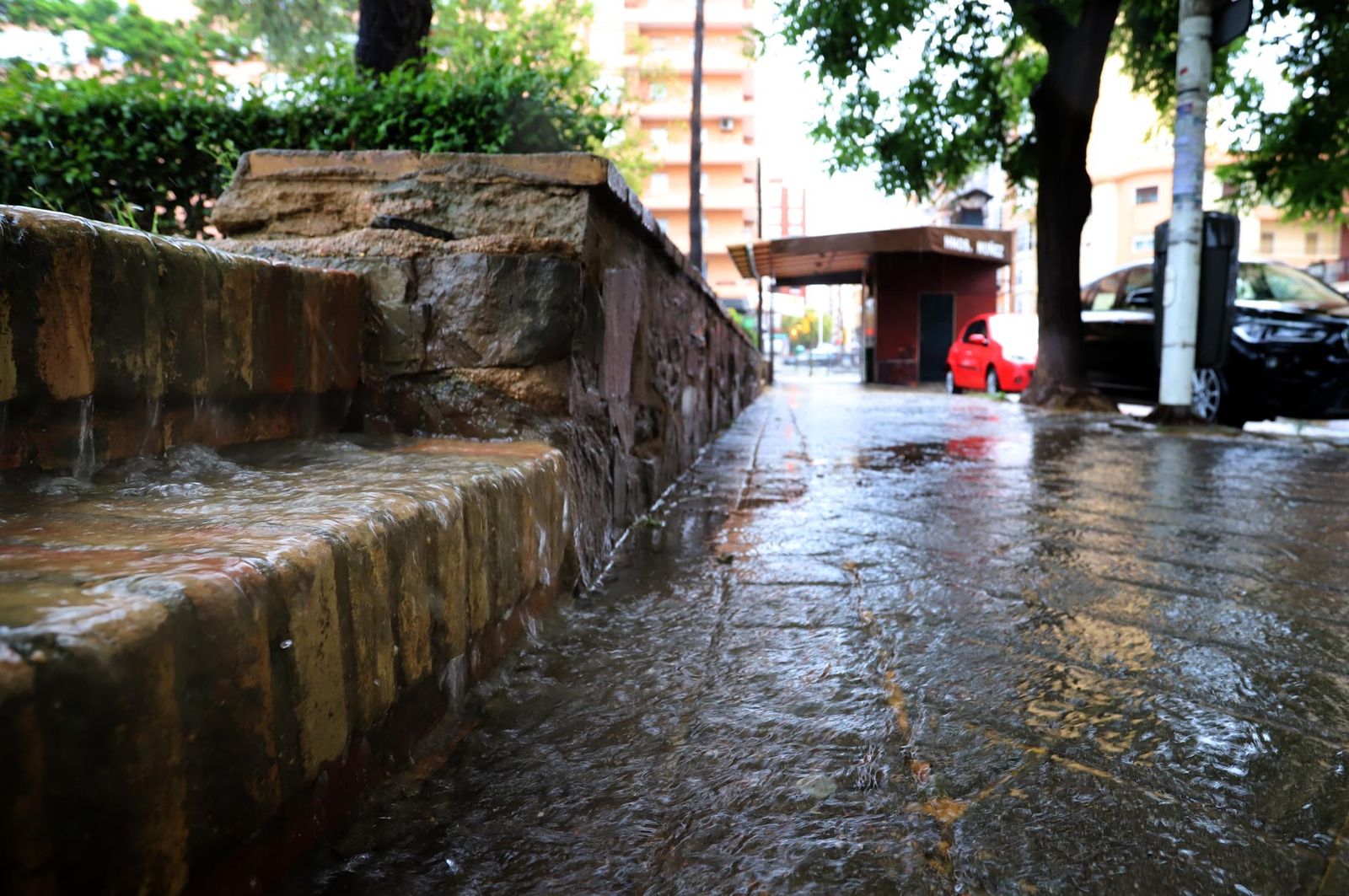 Tarde de lluvia en imágenes