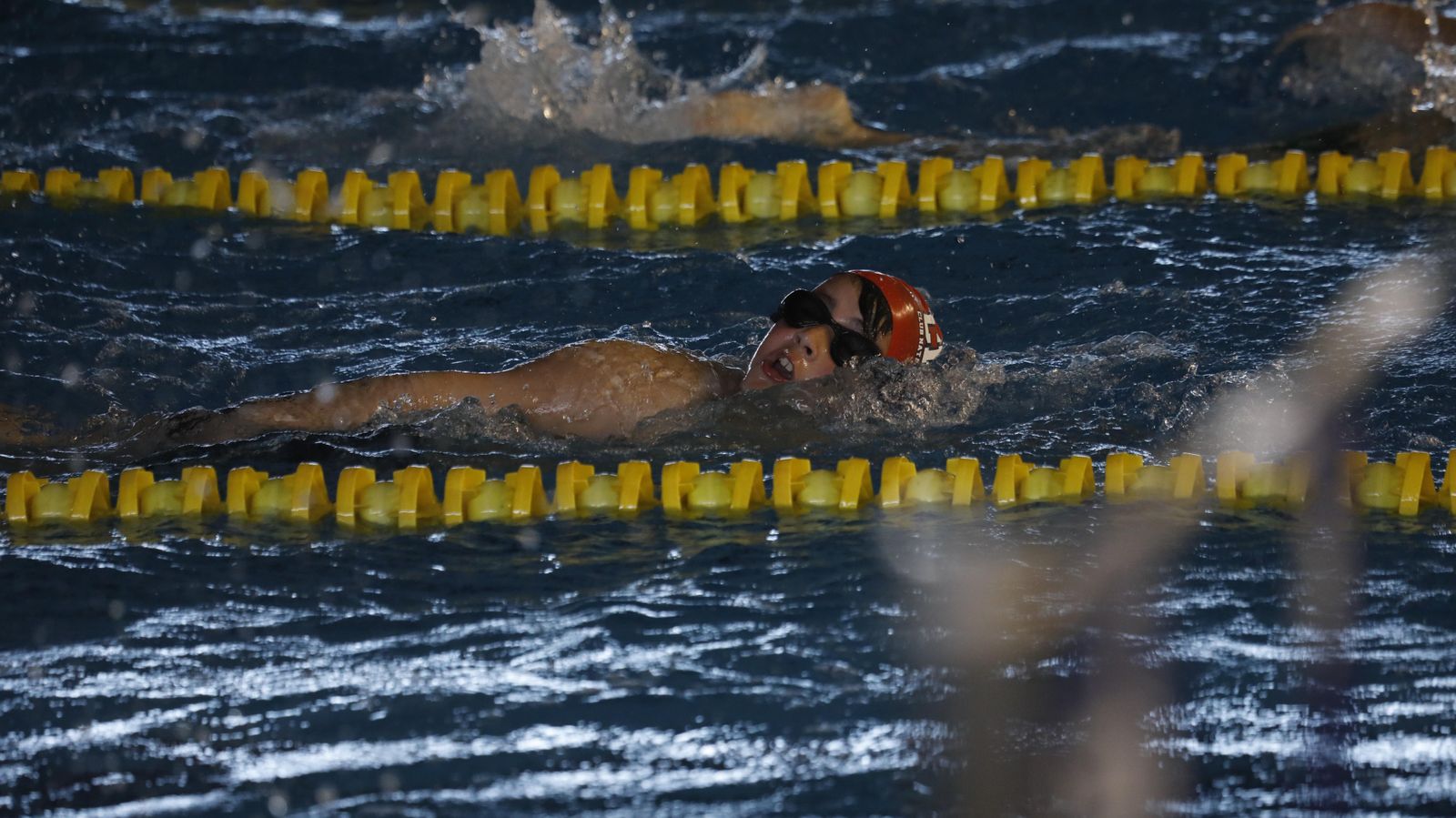 Las fotos del torneo de natación en Los Barrios