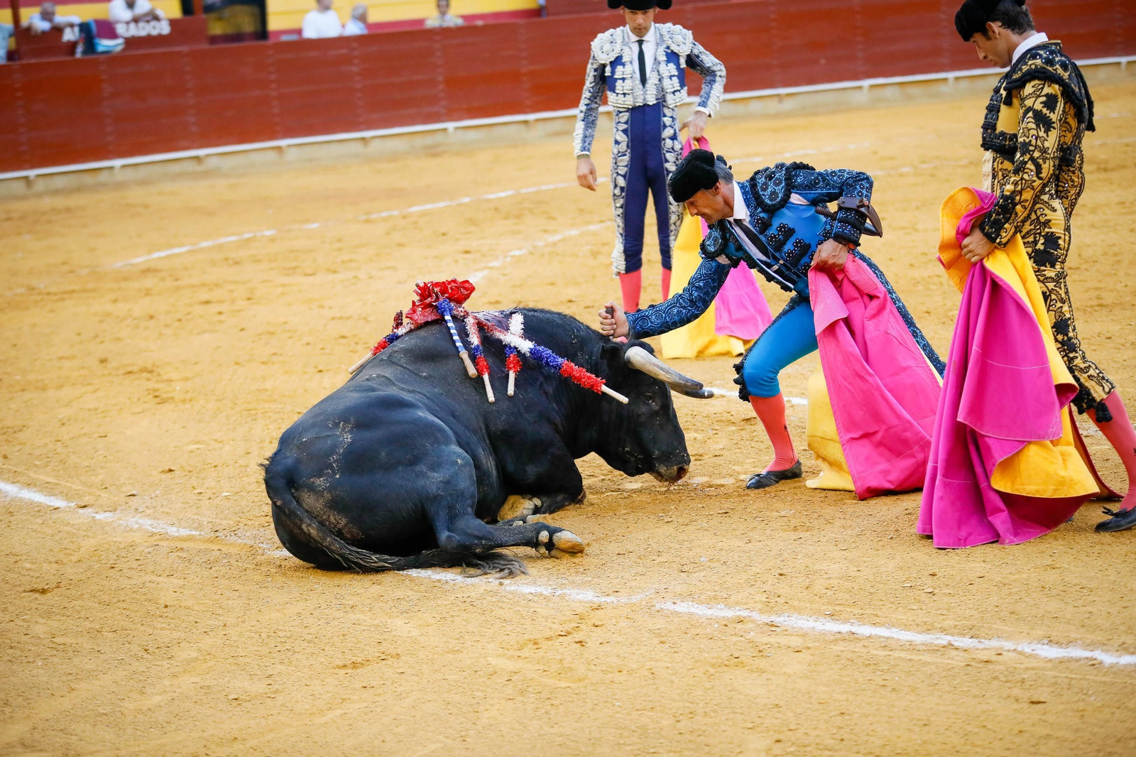 Imágenes de la corrida de toros en Roquetas de Mar