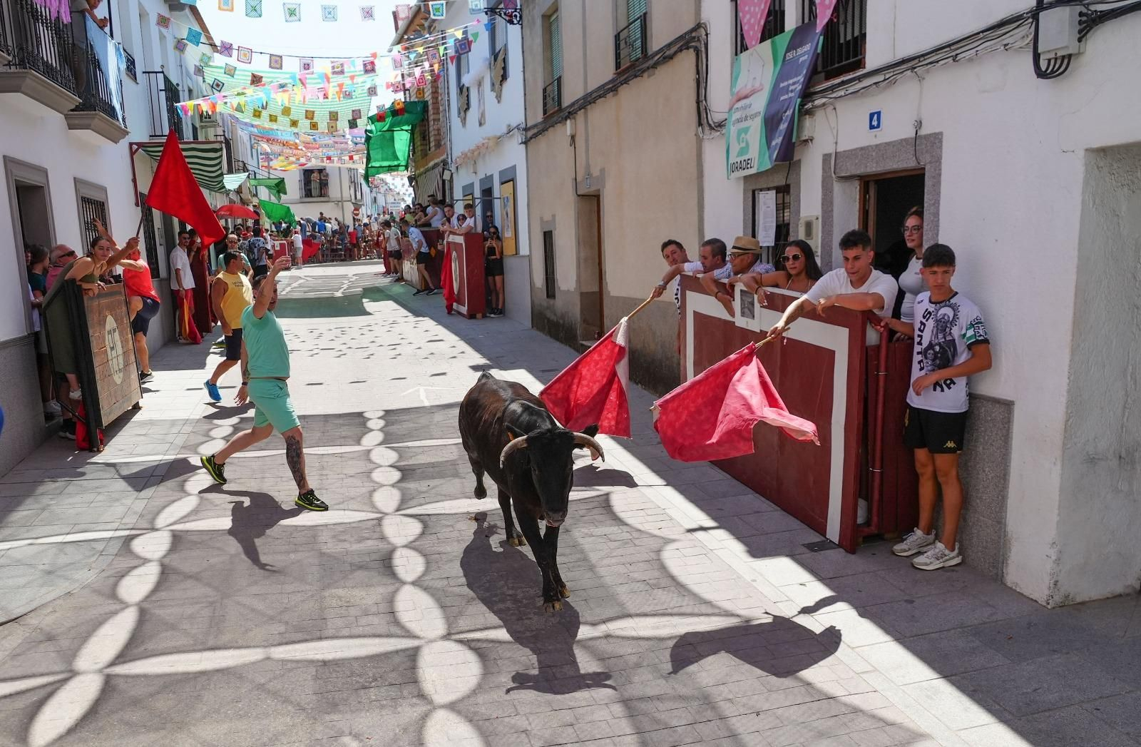El encierro de vaquillas de El Viso, en imágenes