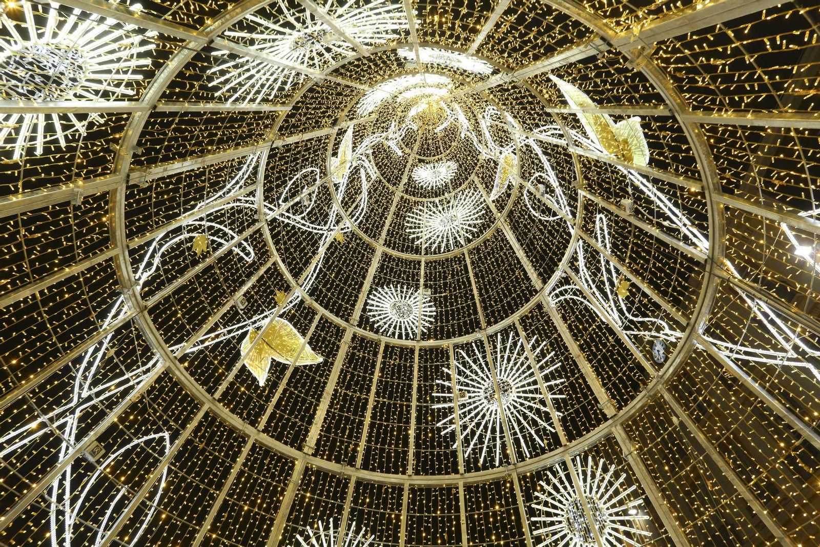 Las fotos de las luces de Navidad en Málaga Las fotos de las luces de Navidad en Málaga