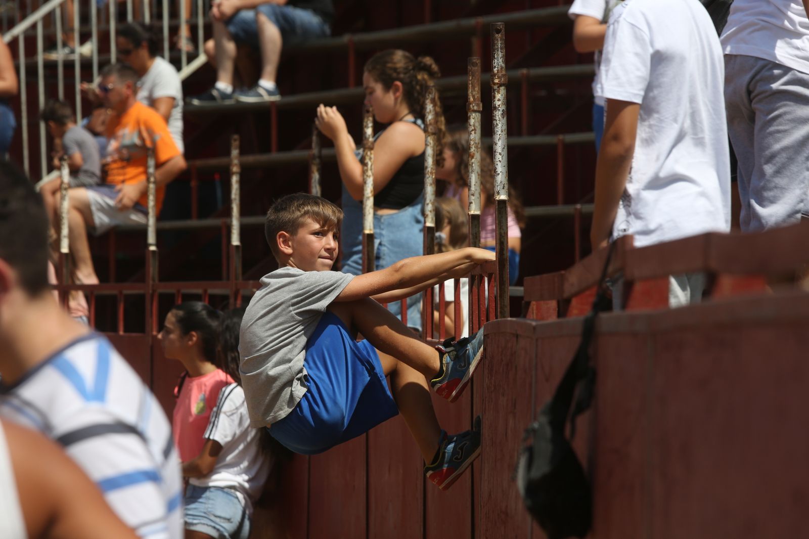 Capeas de Trigueros en imágenes