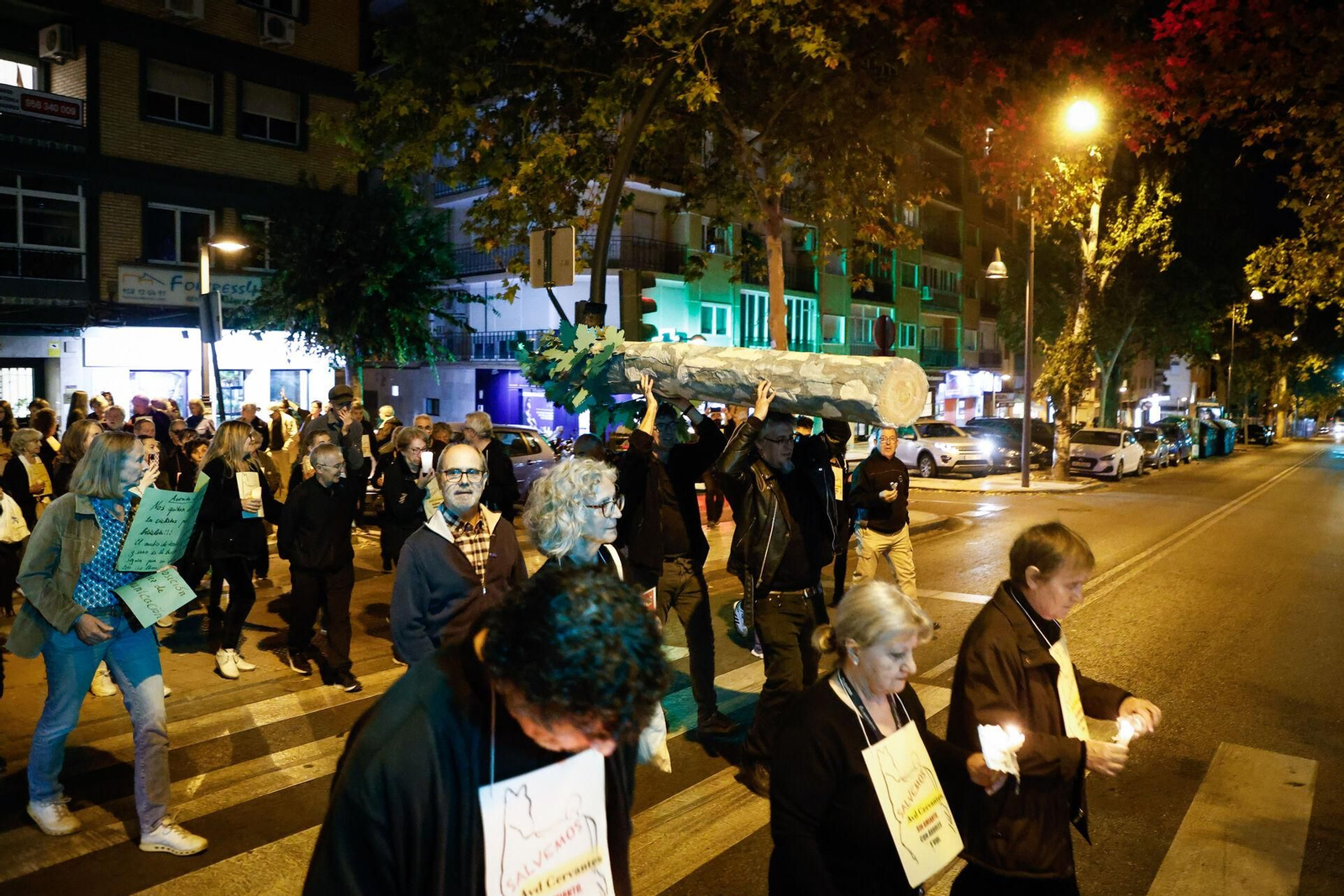 Velas, pancartas y árboles simbólicos: así han protestado los vecinos de Cervantes en Granada