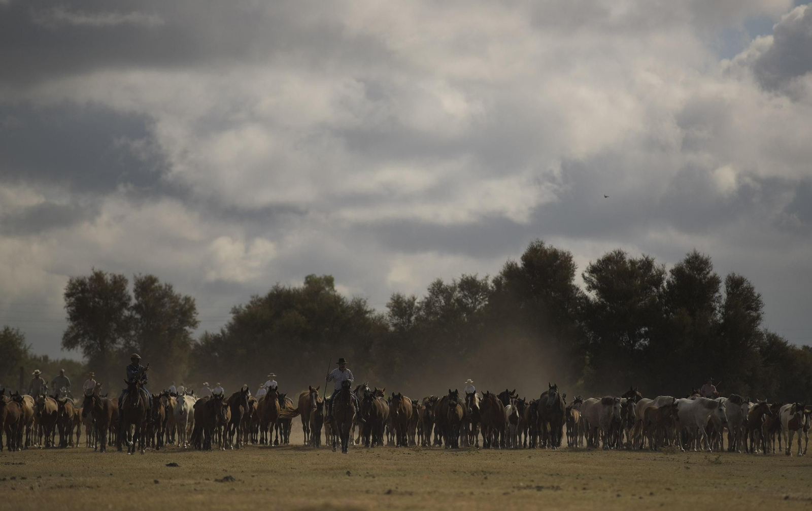 La Saca de las Yeguas, en imágenes