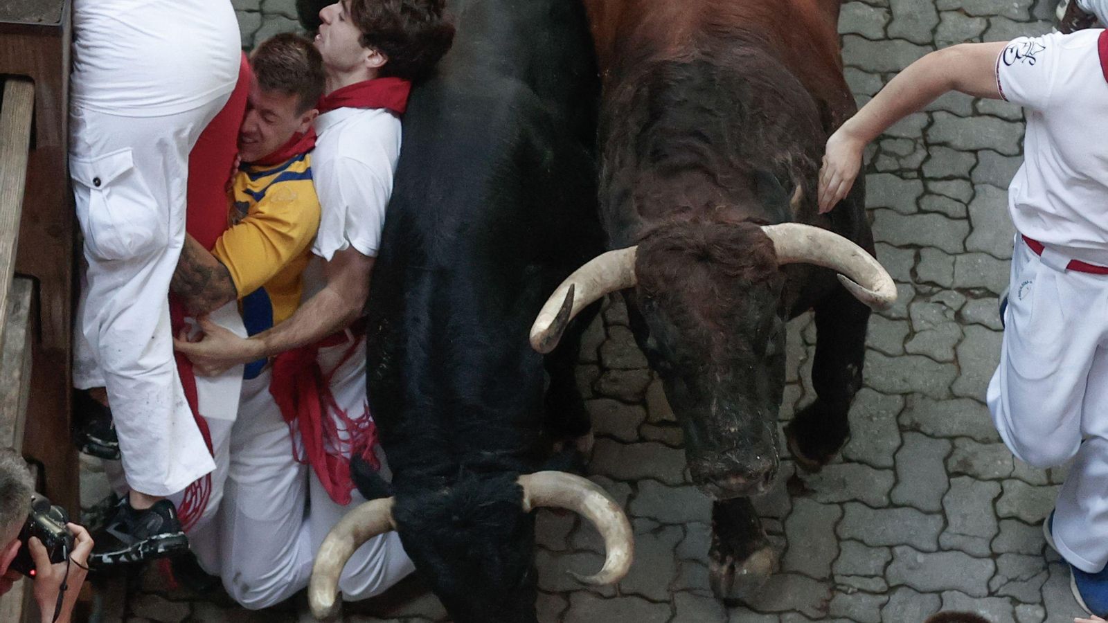 Las imágenes del encierro de los toros de Cebada Gago