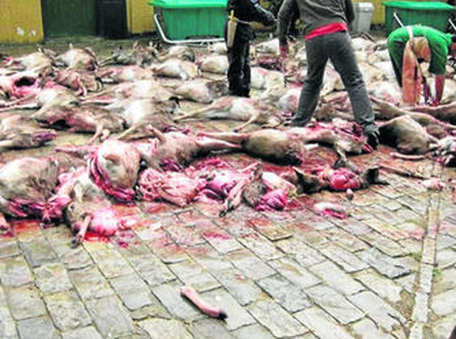 El resultado de la montería del domingo en La Almoraima, en una imagen enviada por Verdemar.